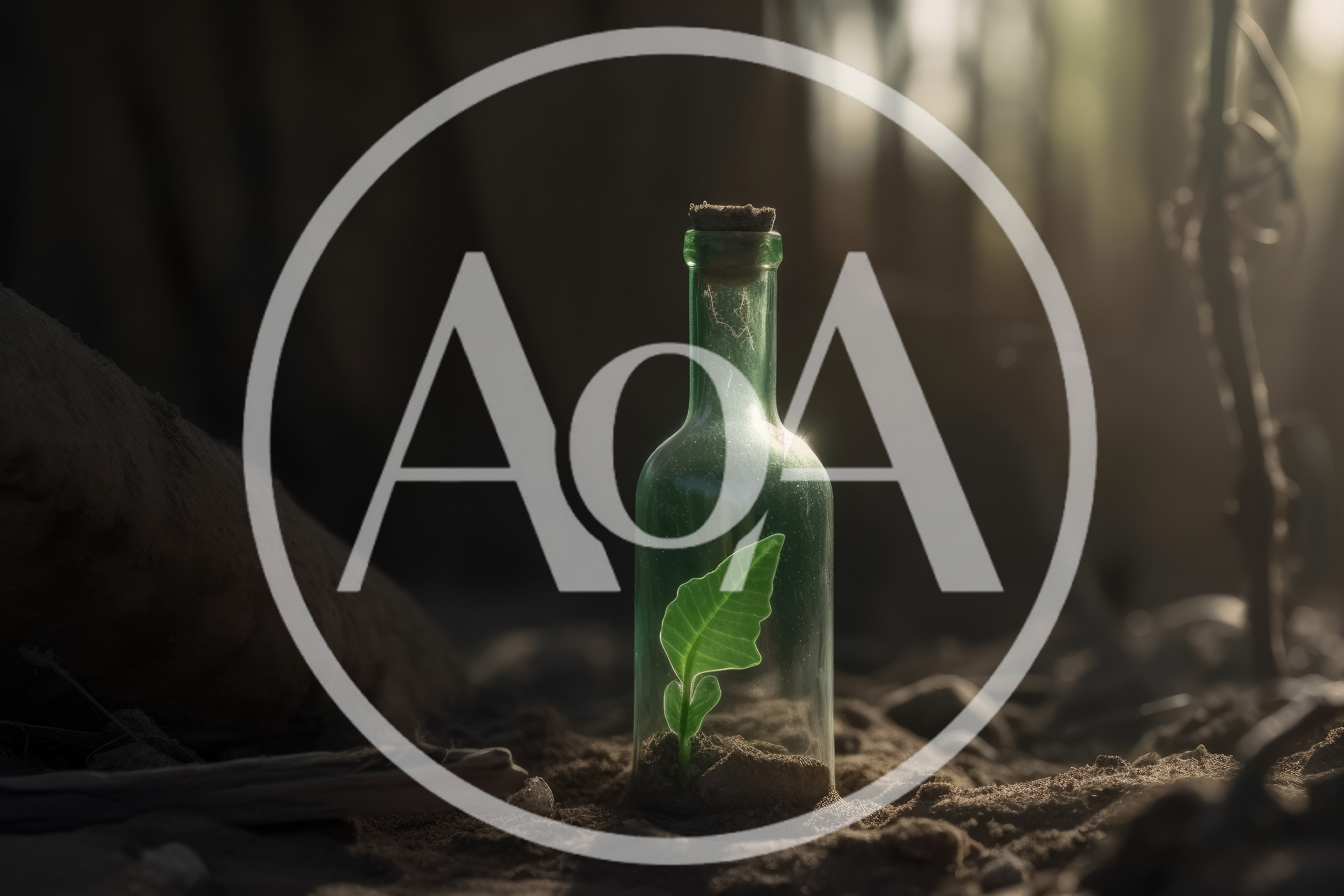 Small Green Plant Growing Inside A Glass Bottle