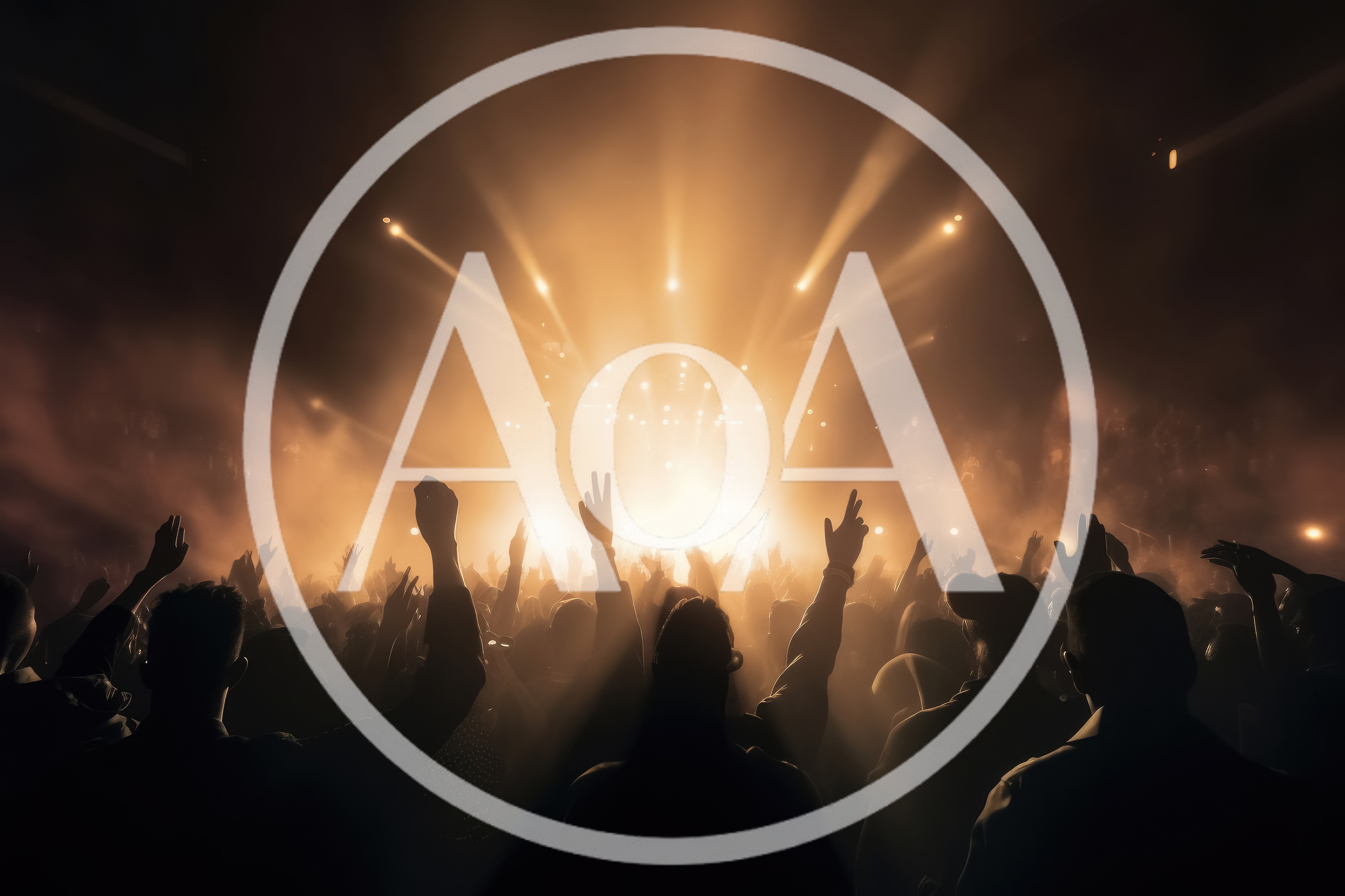 Crowd With Raised Hands At A Concert