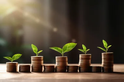 Small Green Plants Growing From Stacks Of Coins