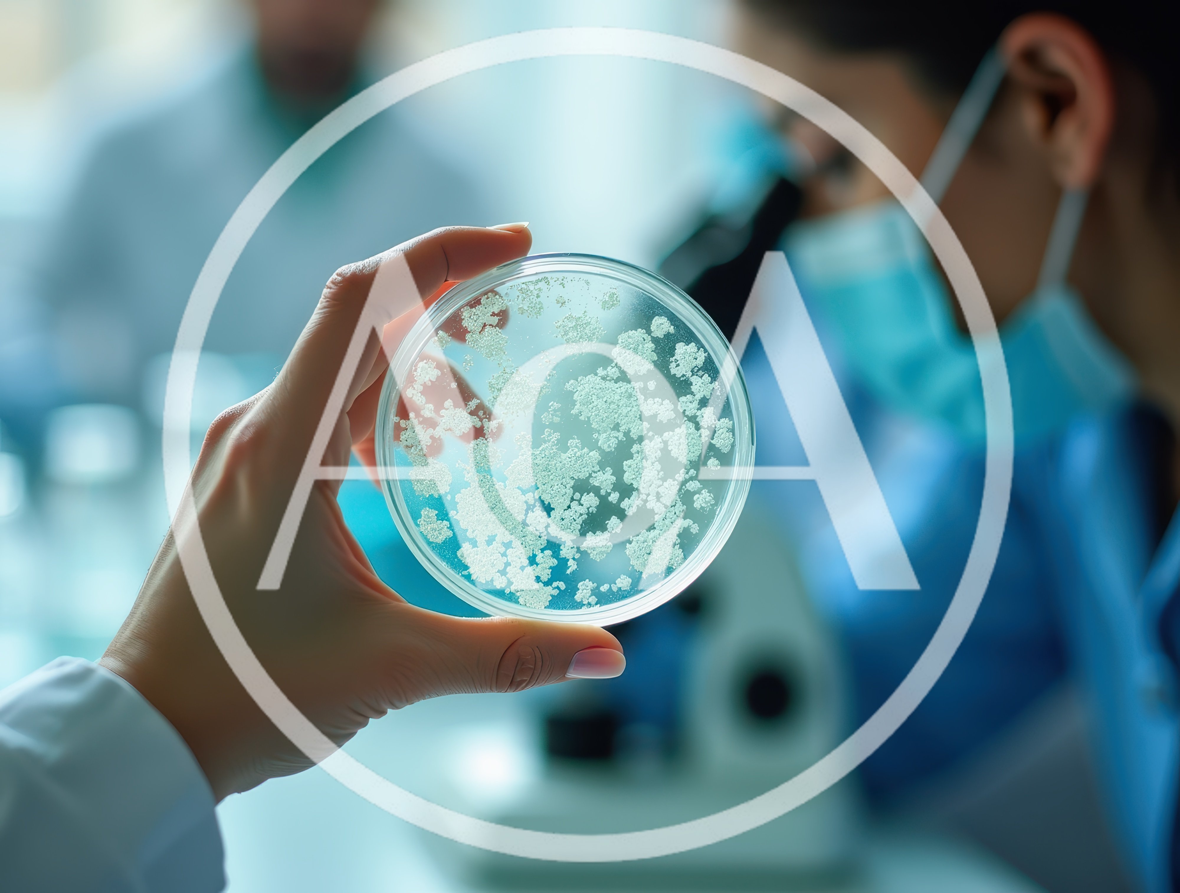 Scientist Holding Petri Dish With Bacterial Culture