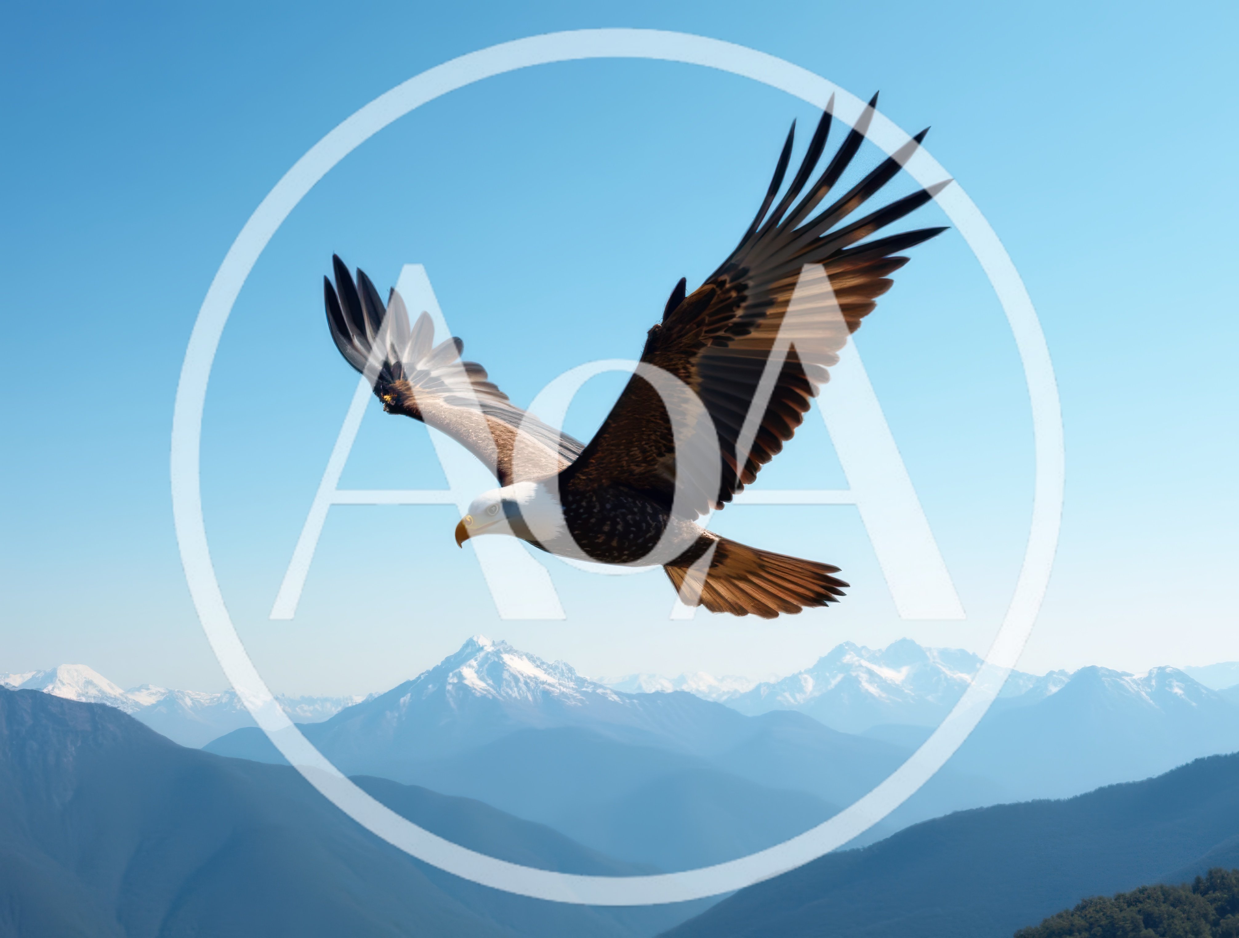 Bald Eagle Flying Over Majestic Snow Capped Mountains
