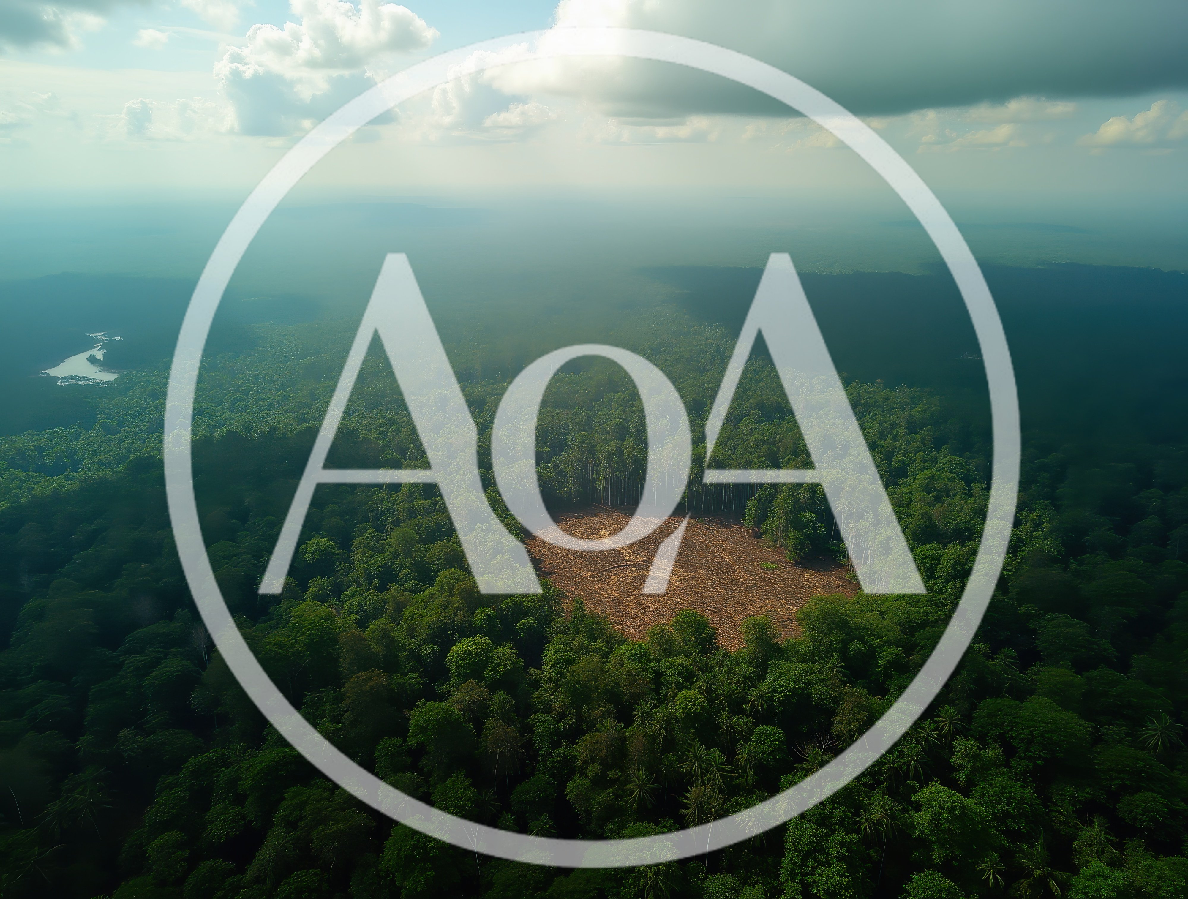 Aerial View Of Deforestation In Tropical Rainforest