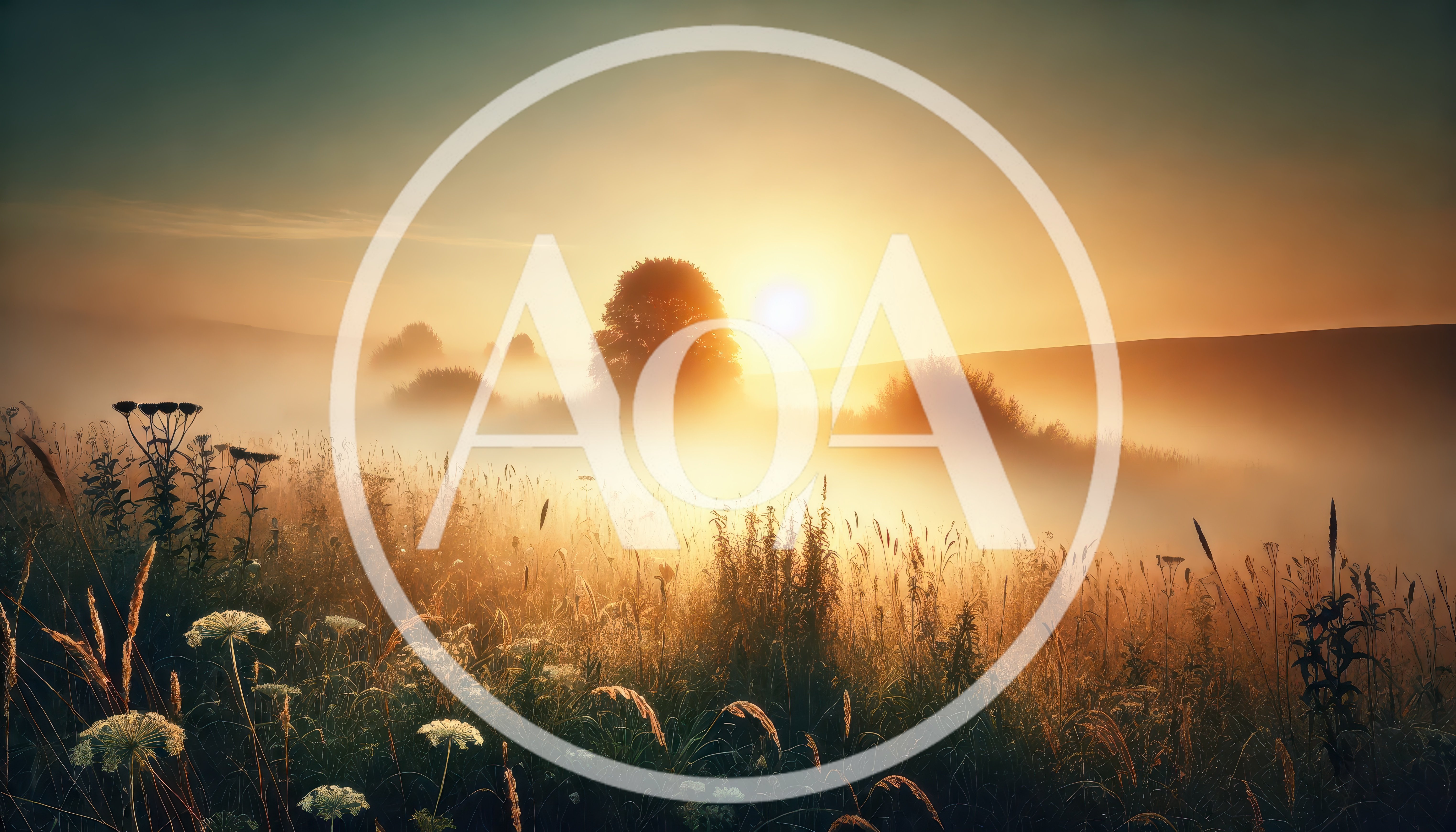 Golden Sunrise Over A Misty Meadow