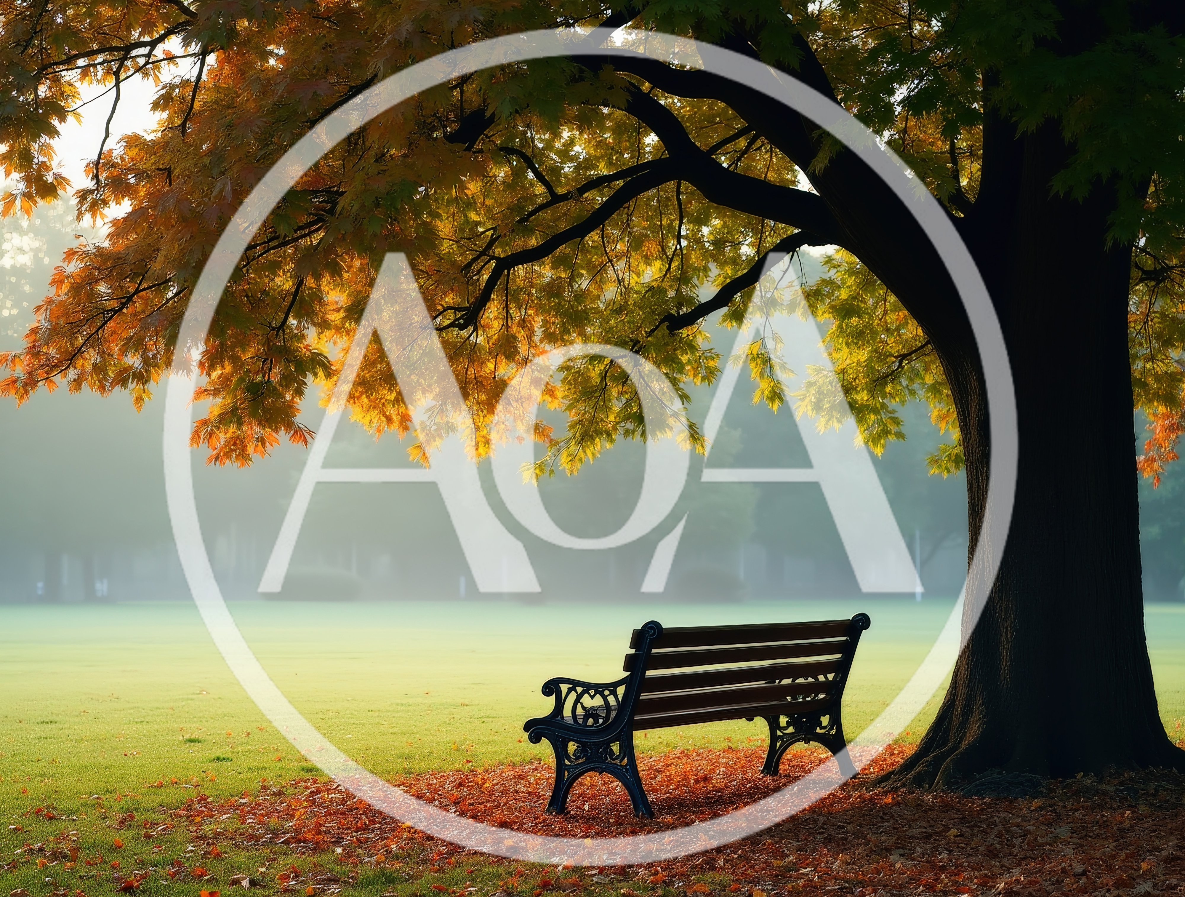 Empty Park Bench Under Autumn Tree In Fog