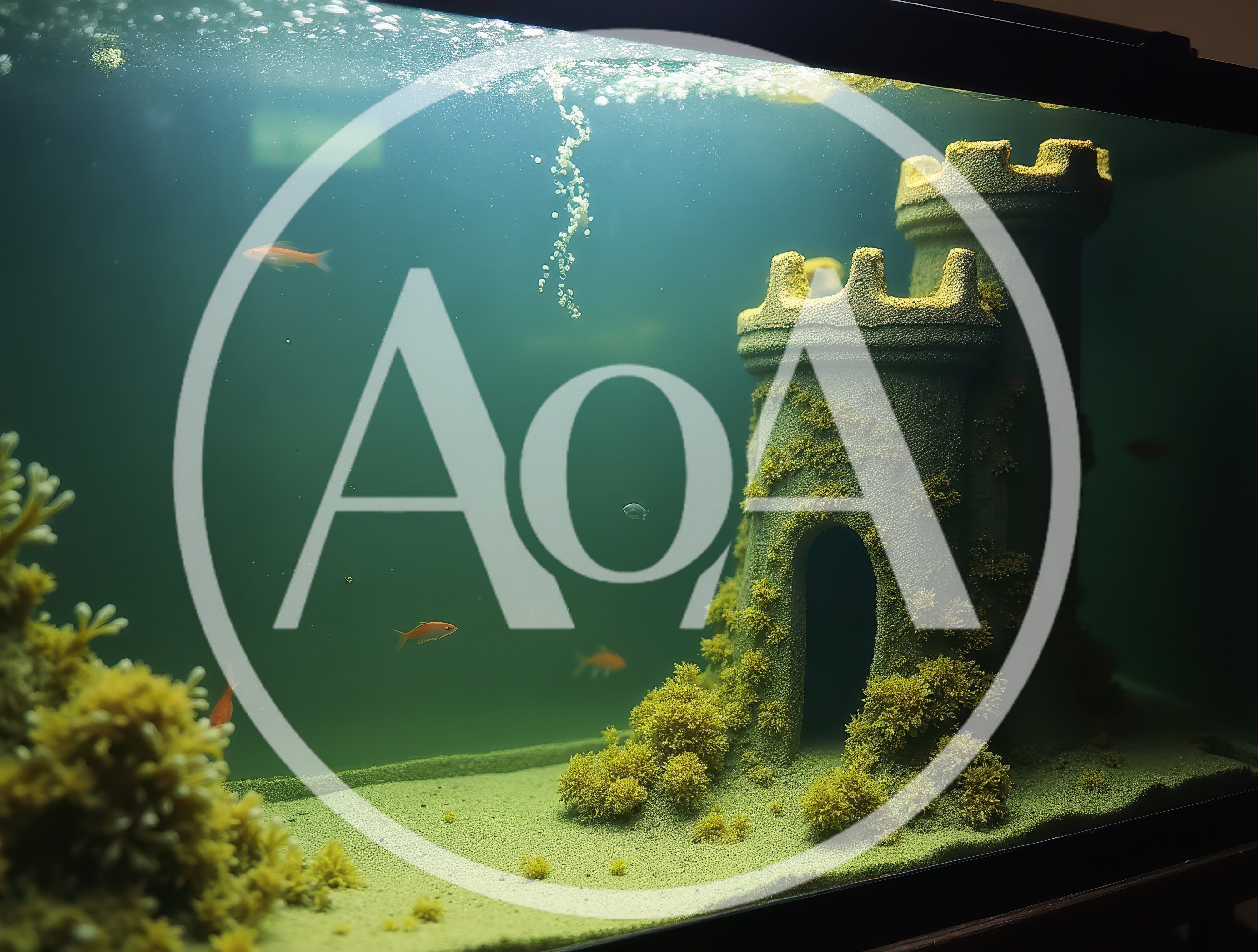 Small Fish Swimming Around A Castle Aquarium Decoration
