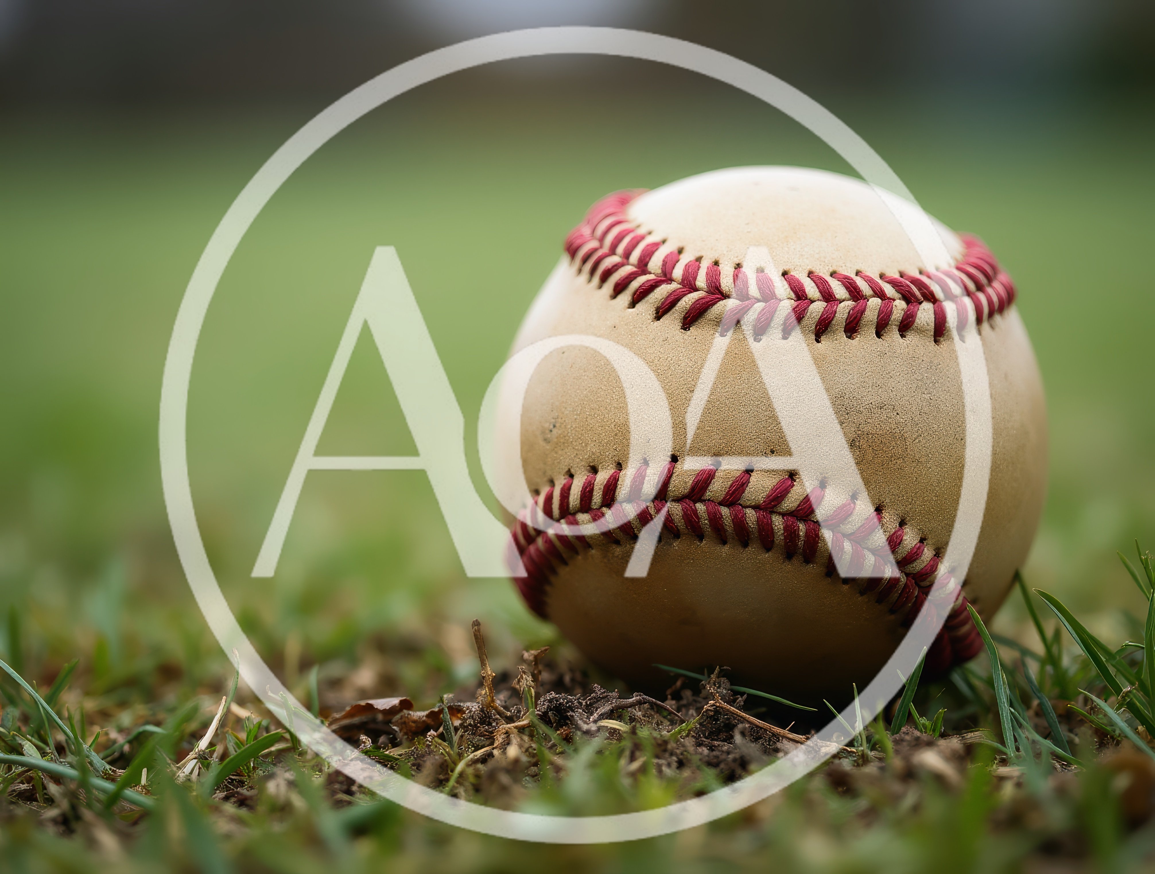 Worn Baseball Resting On Grass Field