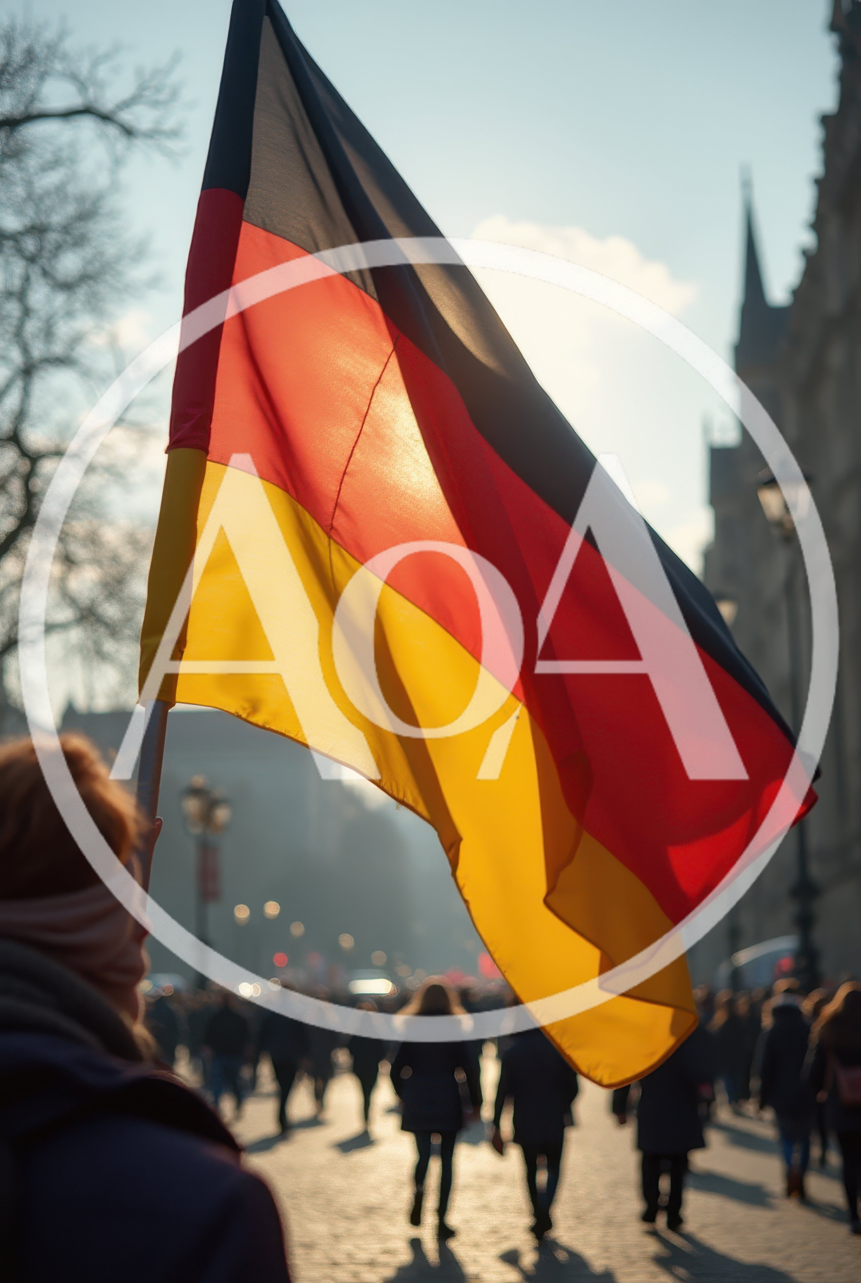 Person Holding German Flag During Public Demonstration