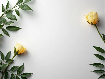 Yellow Flowers With Green Leaves On White Background