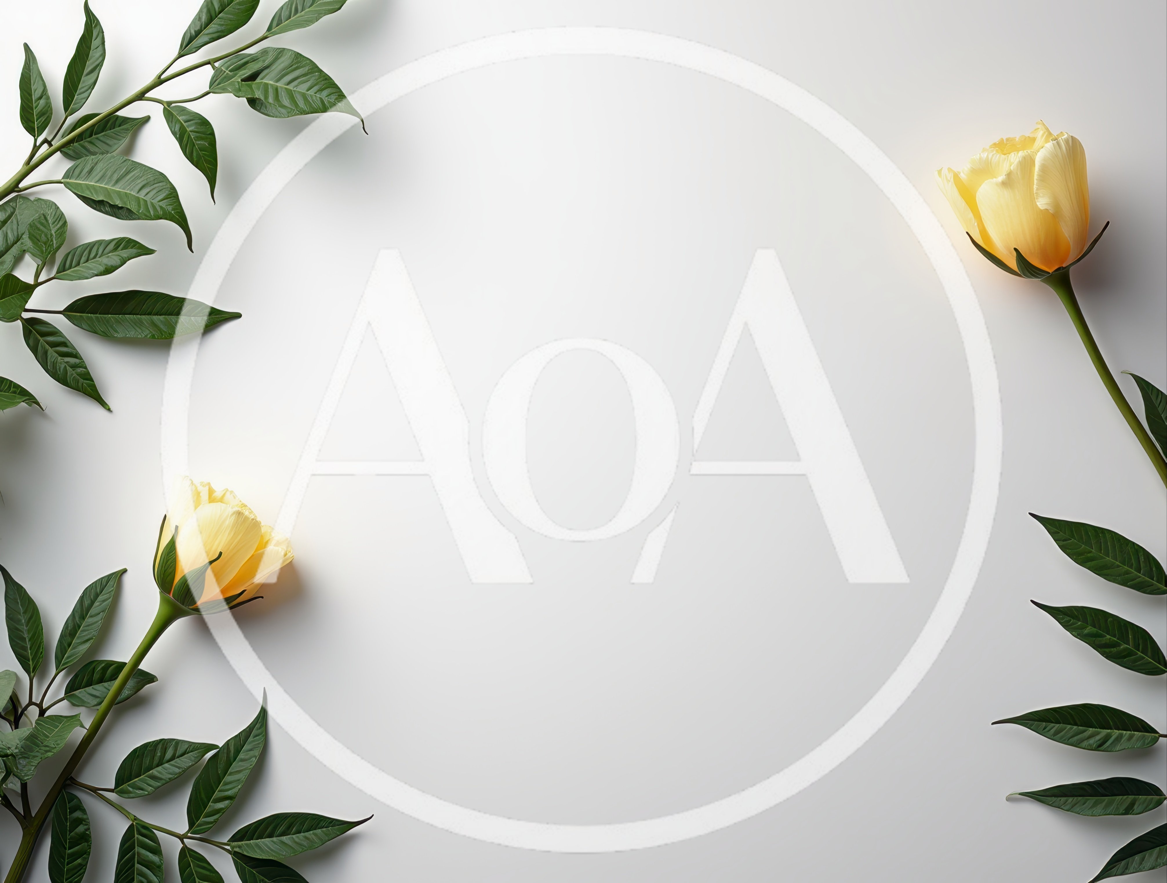Yellow Flowers With Green Leaves On White Background