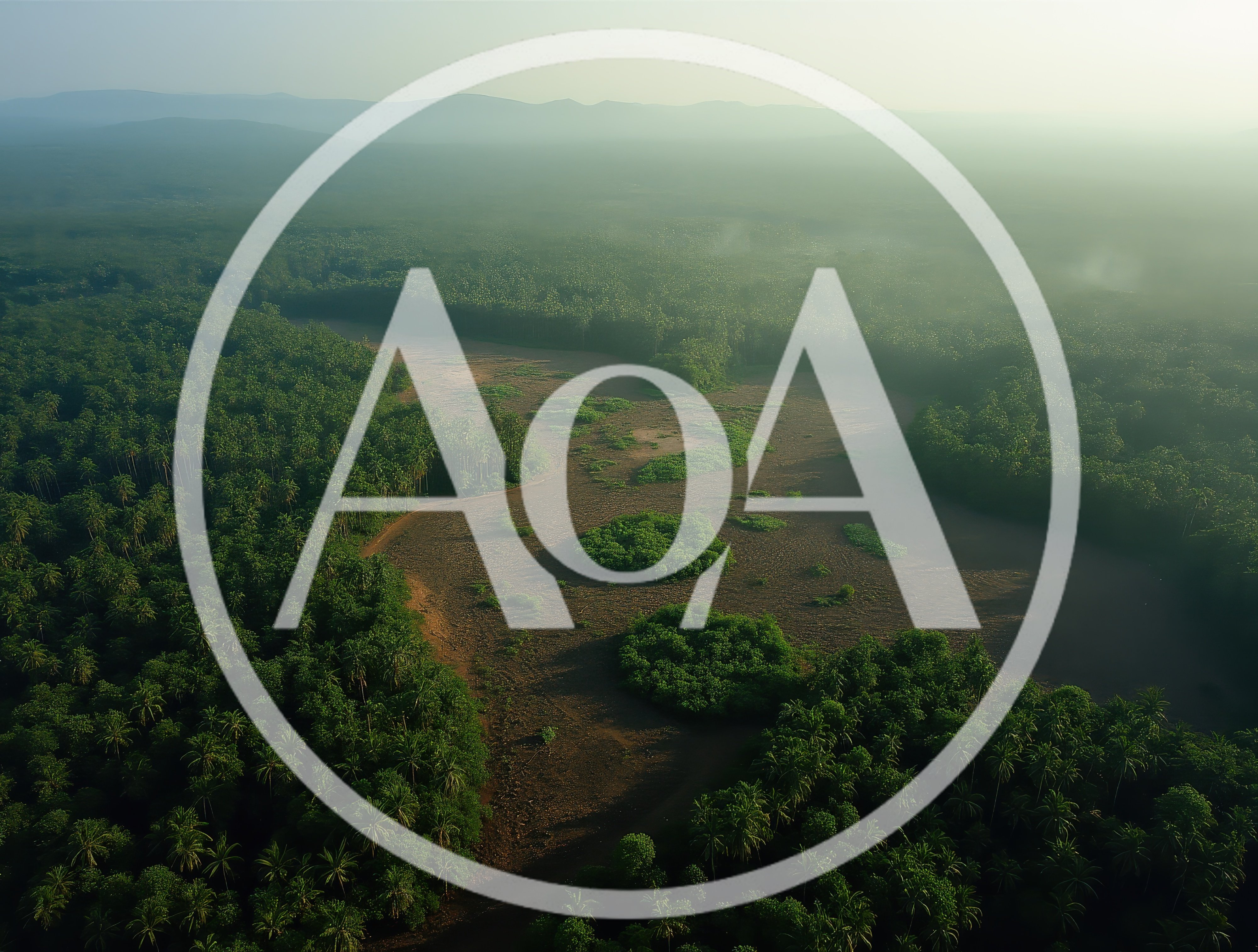 Aerial View Of Tropical Forest With Clearing