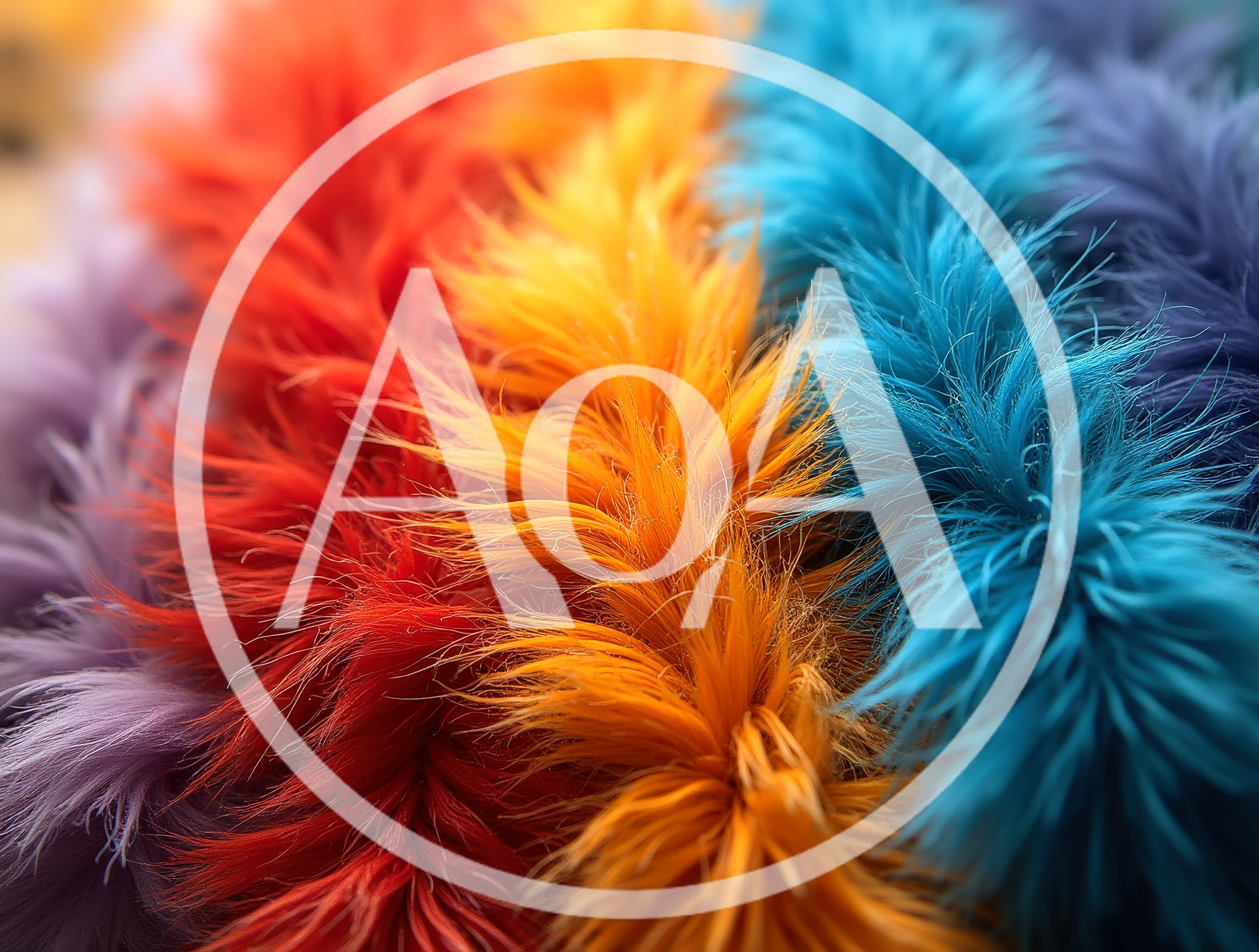 Colorful Feather Dusters Arranged In A Row