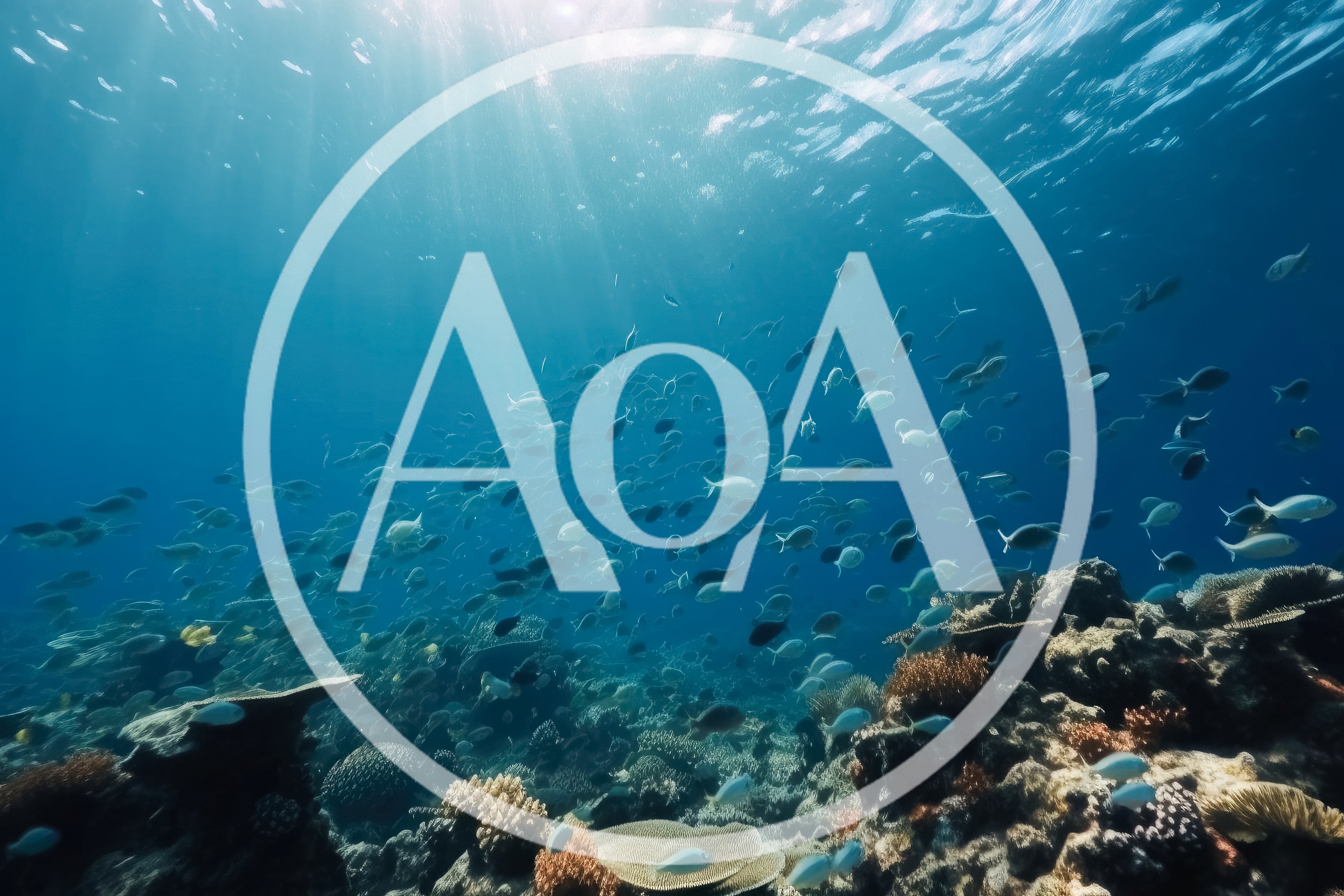 School Of Tropical Fish Swimming Over Coral Reef