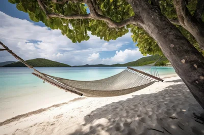 Empty Hammock Hanging Between Tropical Trees On Sandy Beach