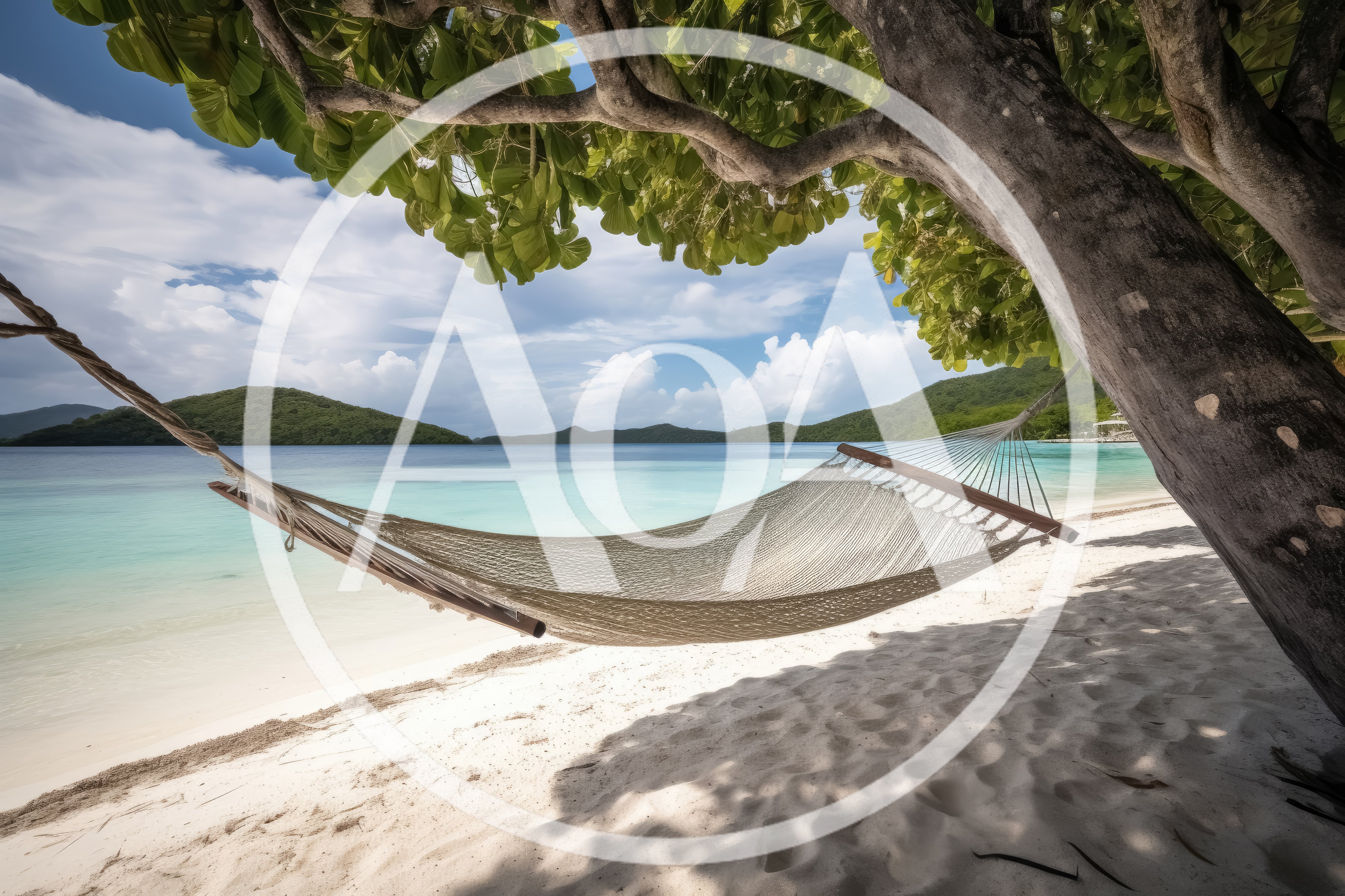 Empty Hammock Hanging Between Tropical Trees On Sandy Beach