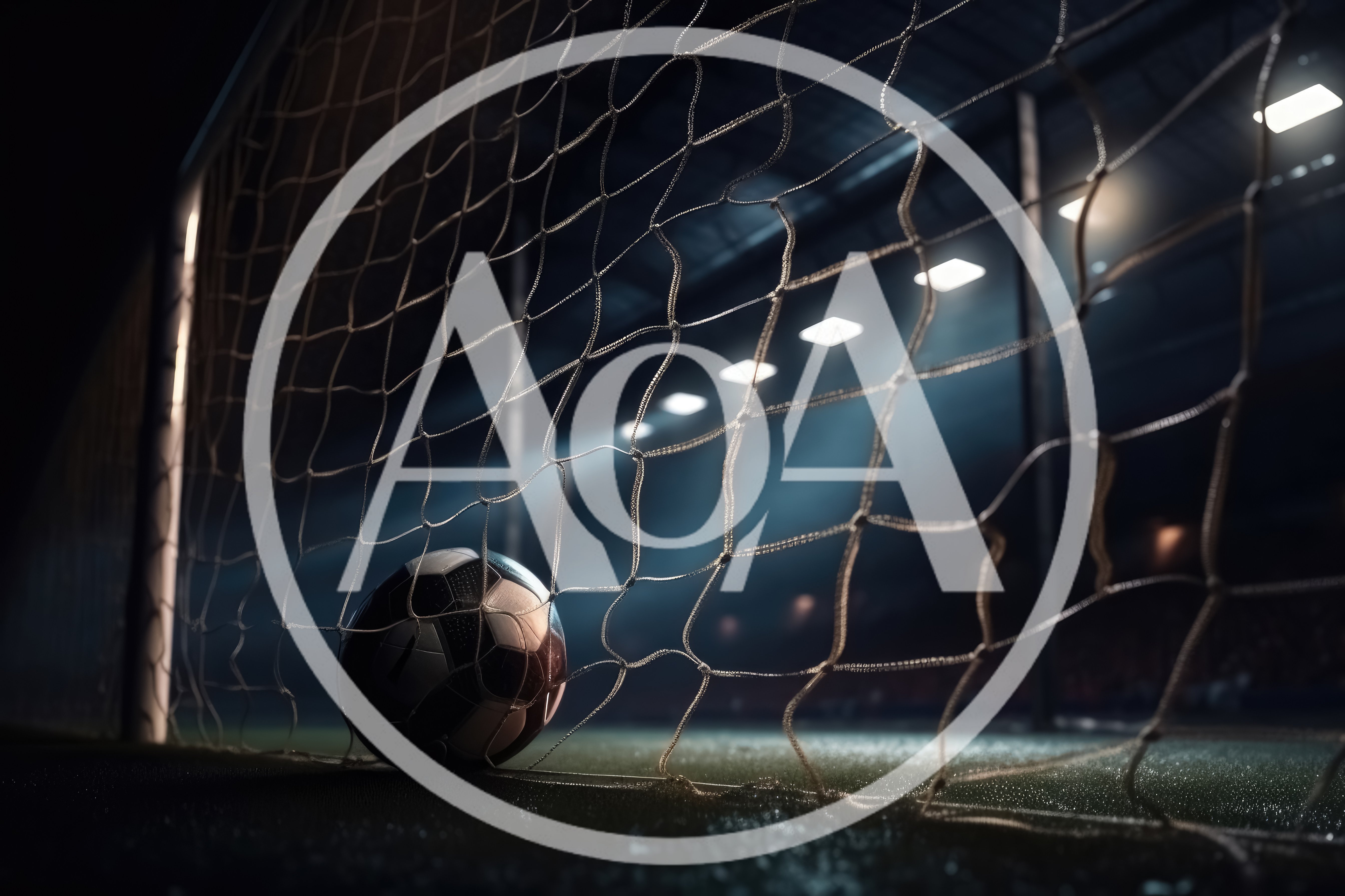 Soccer Ball Resting Inside The Goal Net
