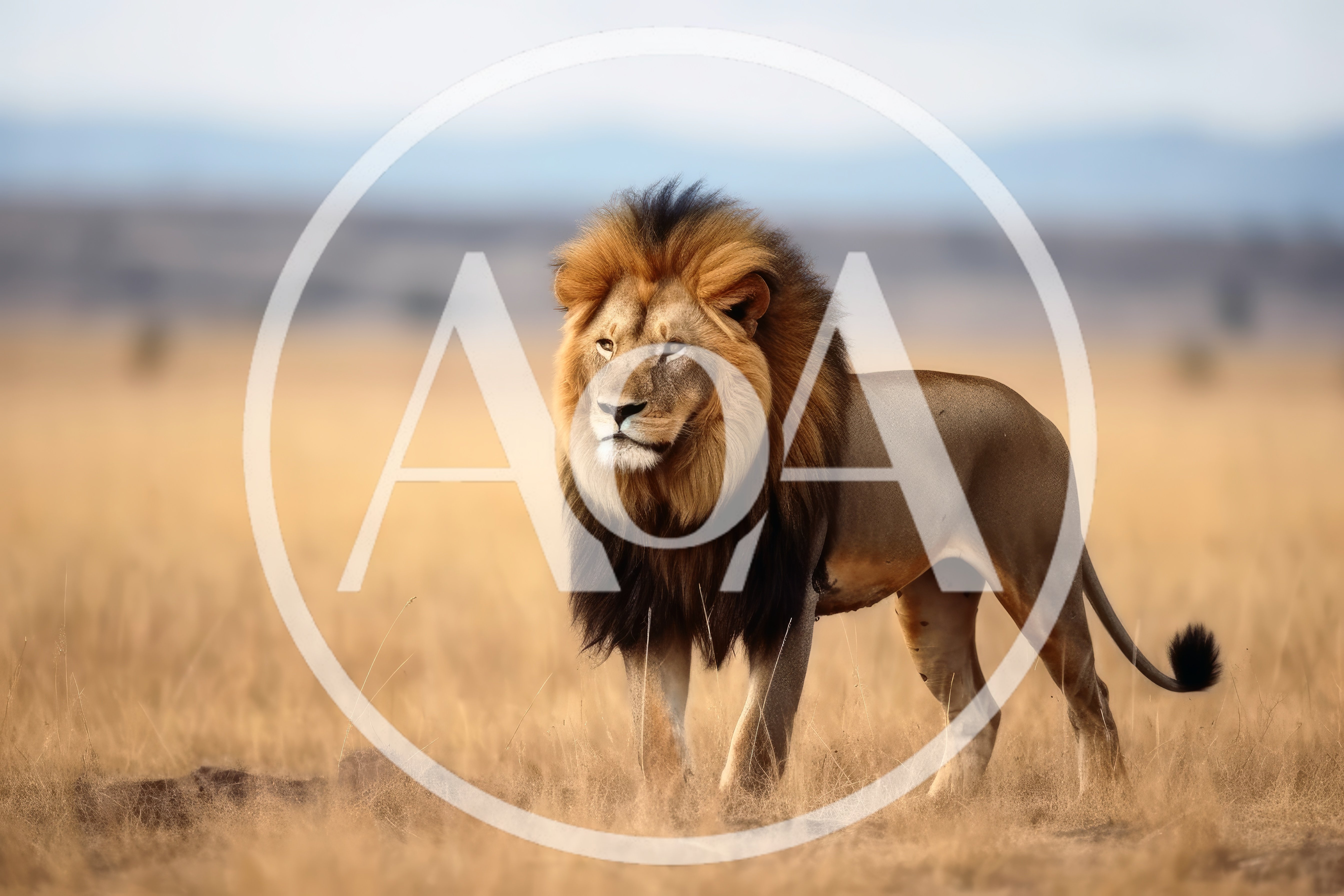 Majestic Male Lion Standing In The African Savanna