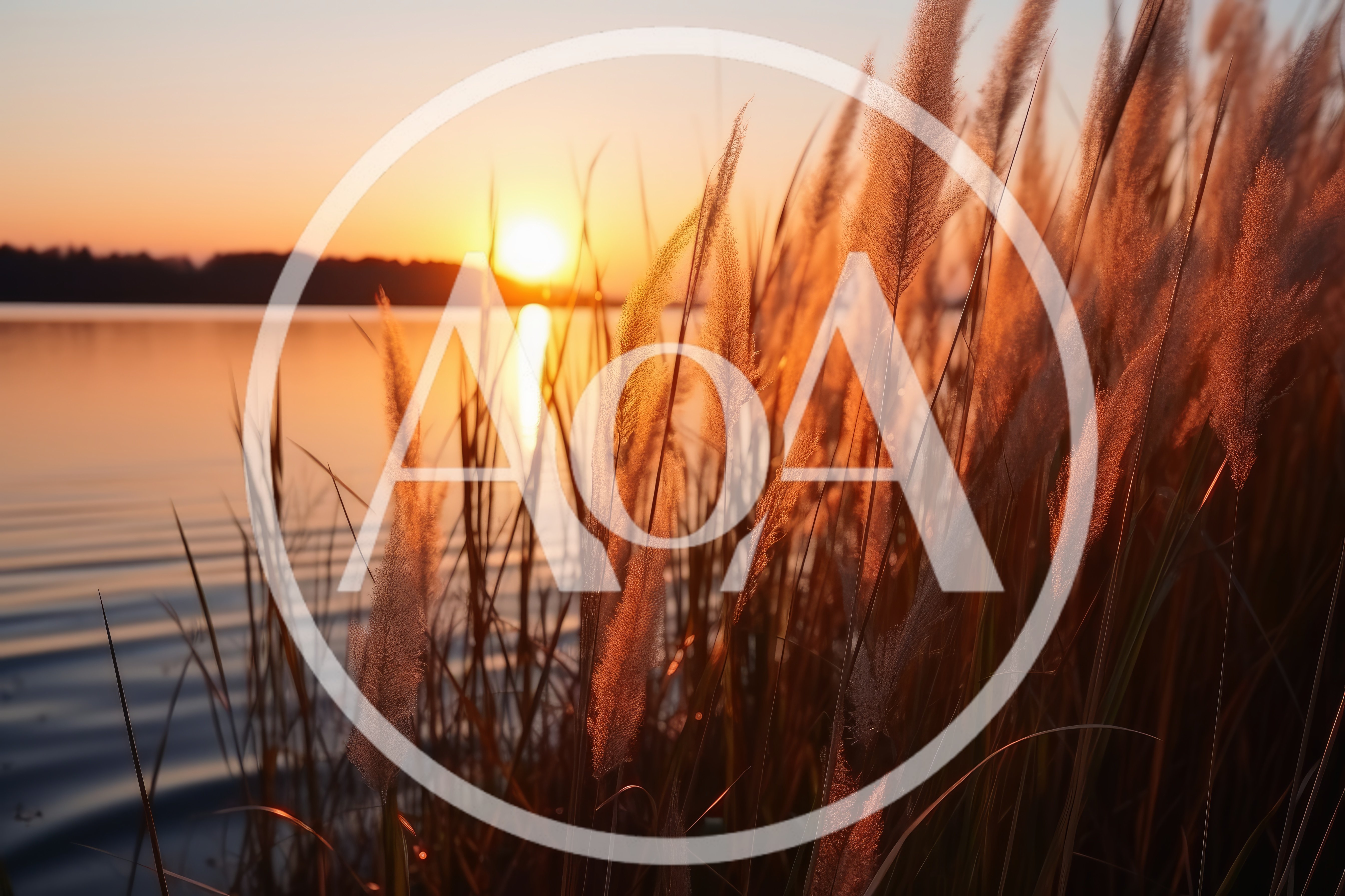 Golden Sunset Over A Calm Lake With Tall Grass