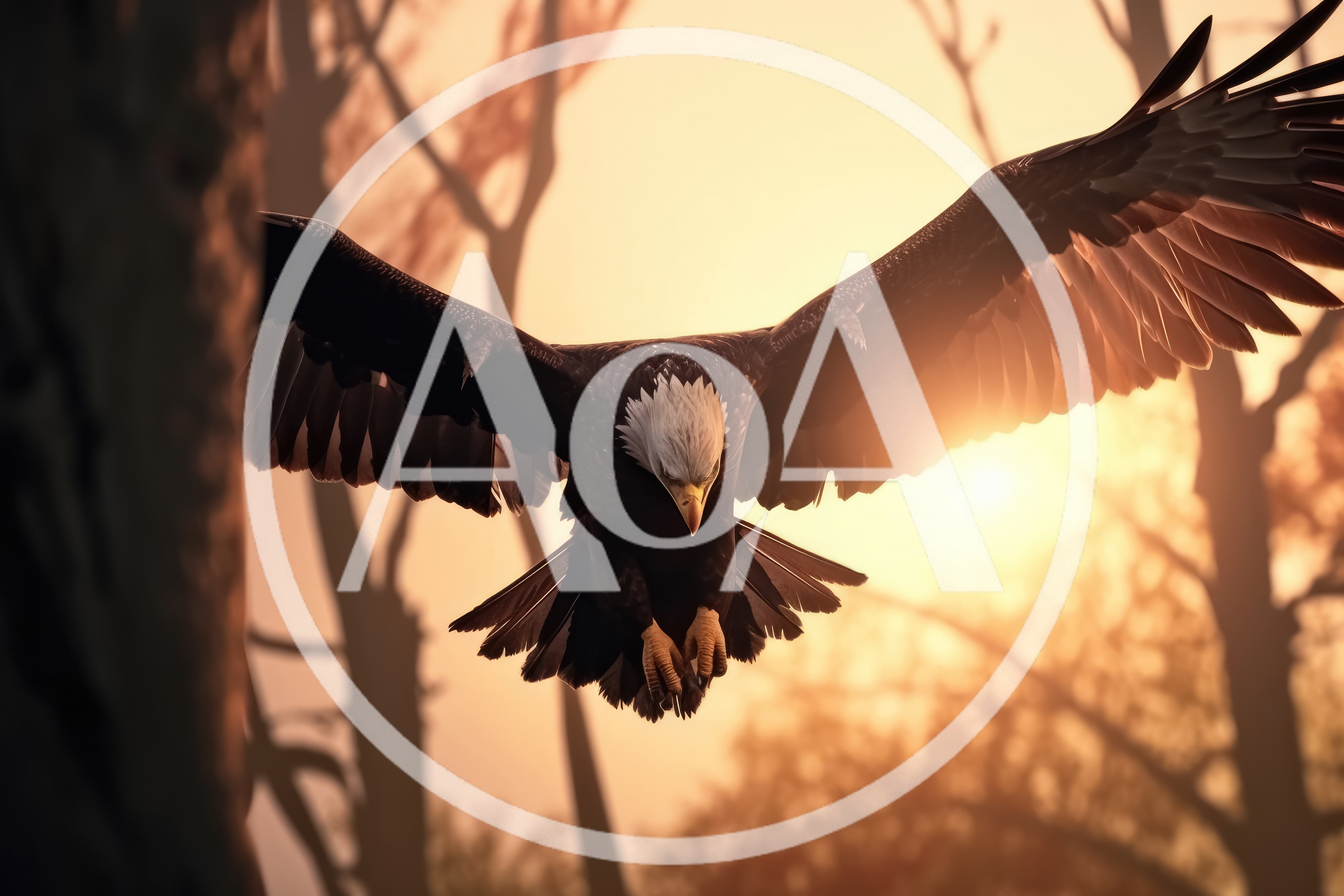 Bald Eagle Flying Through Forest At Sunset