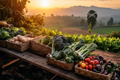 Fresh Harvest Vegetables In Wicker Baskets At Sunset