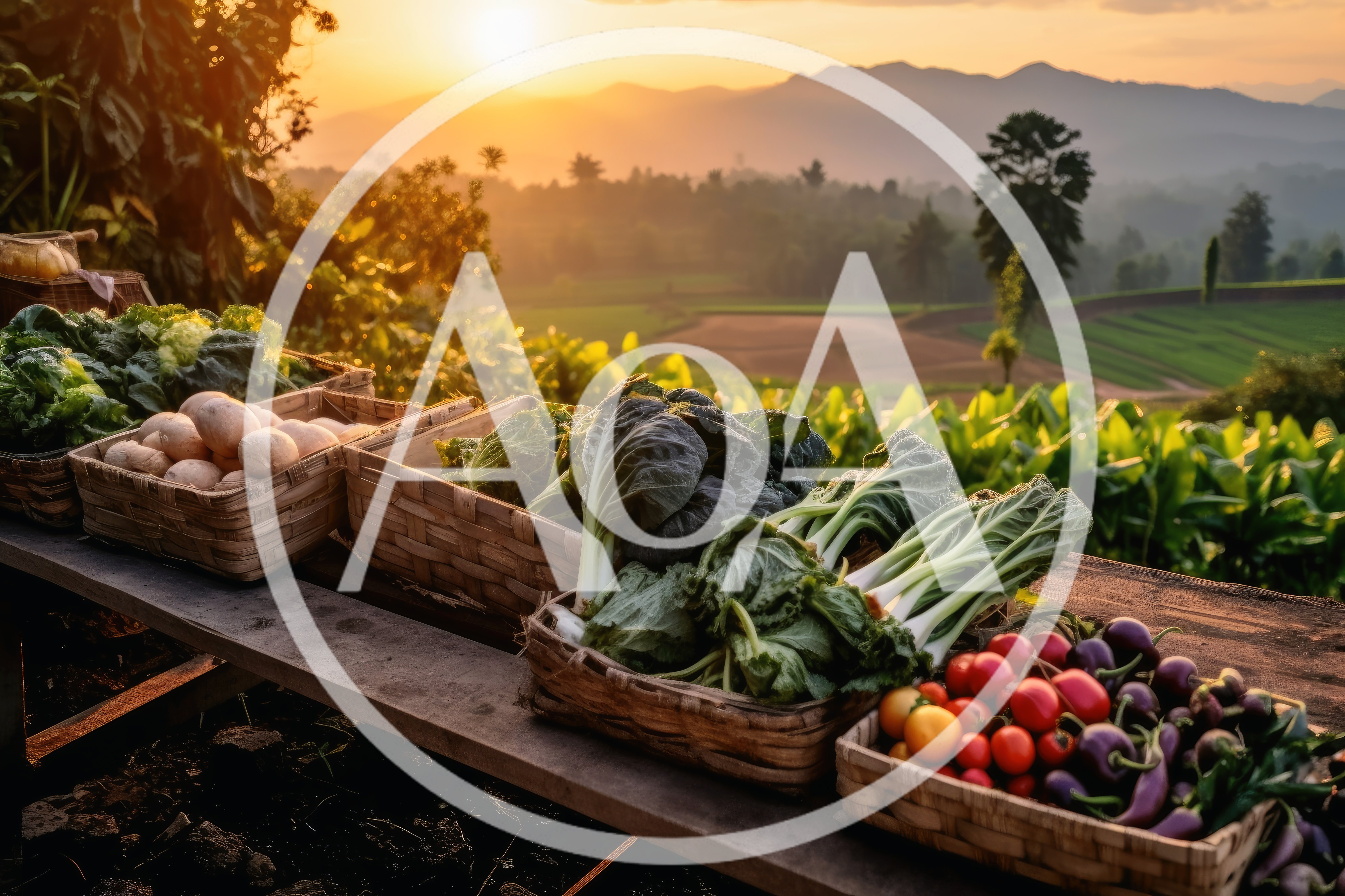 Fresh Harvest Vegetables In Wicker Baskets At Sunset