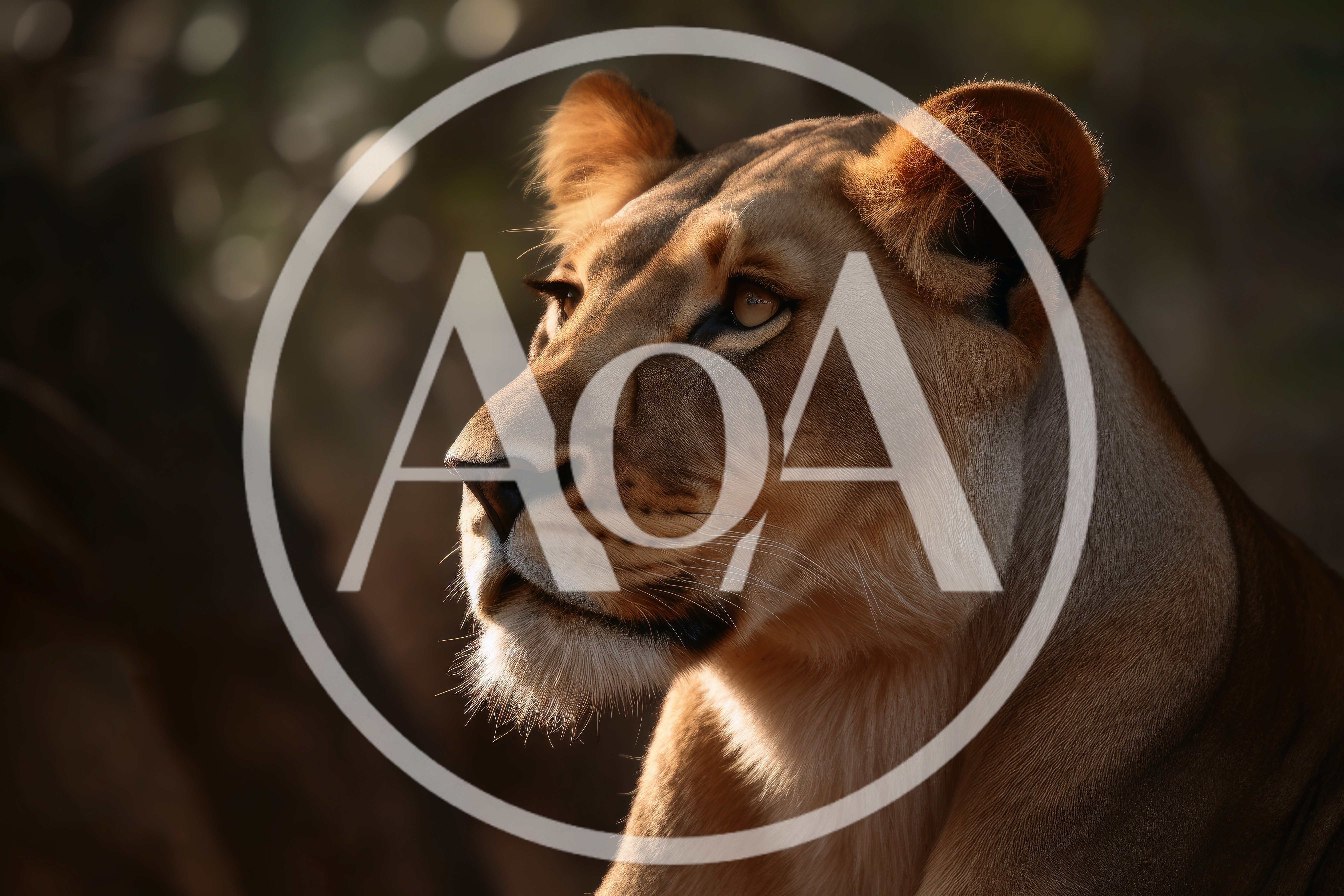Majestic Lioness Profile Portrait in Golden Hour Light