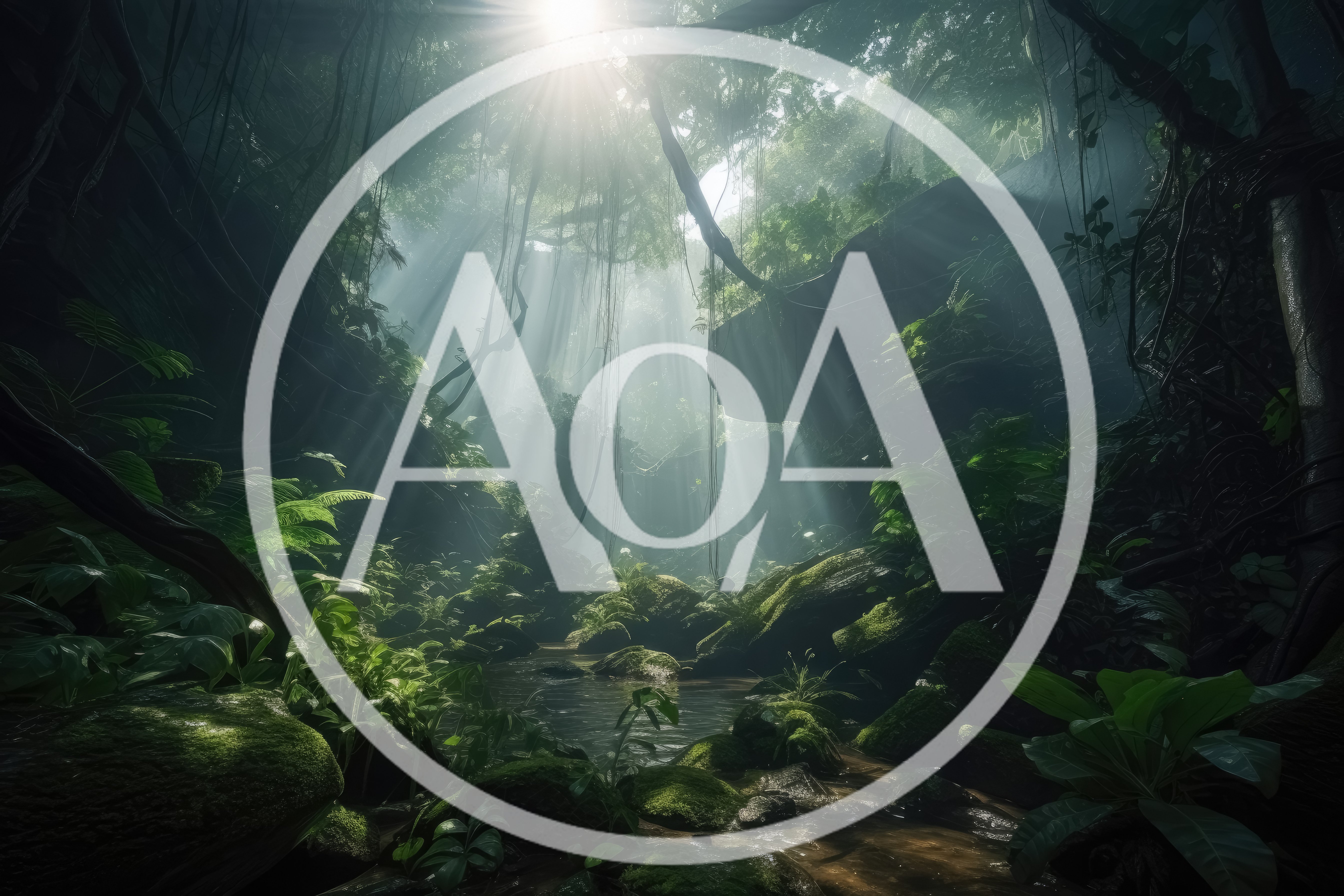 Sunlight Streaming Through Dense Tropical Jungle Canopy