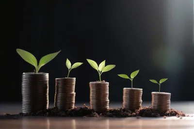 Small Green Plants Growing From Stacks Of Coins