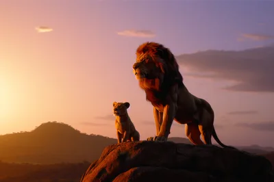 Adult Lion And Cub Standing On Rocky Outcrop