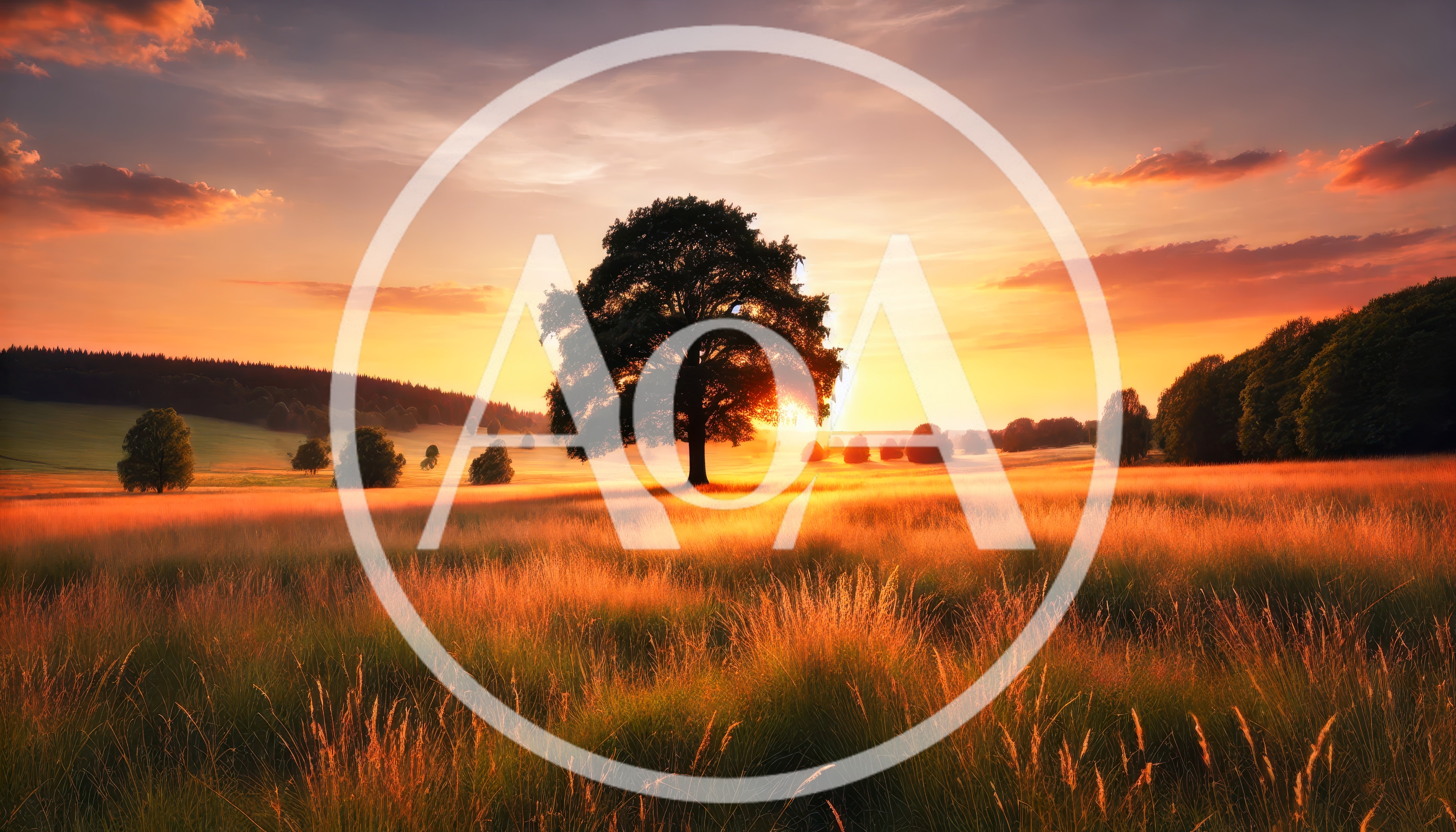 Solitary Oak Tree In A Golden Sunset Meadow