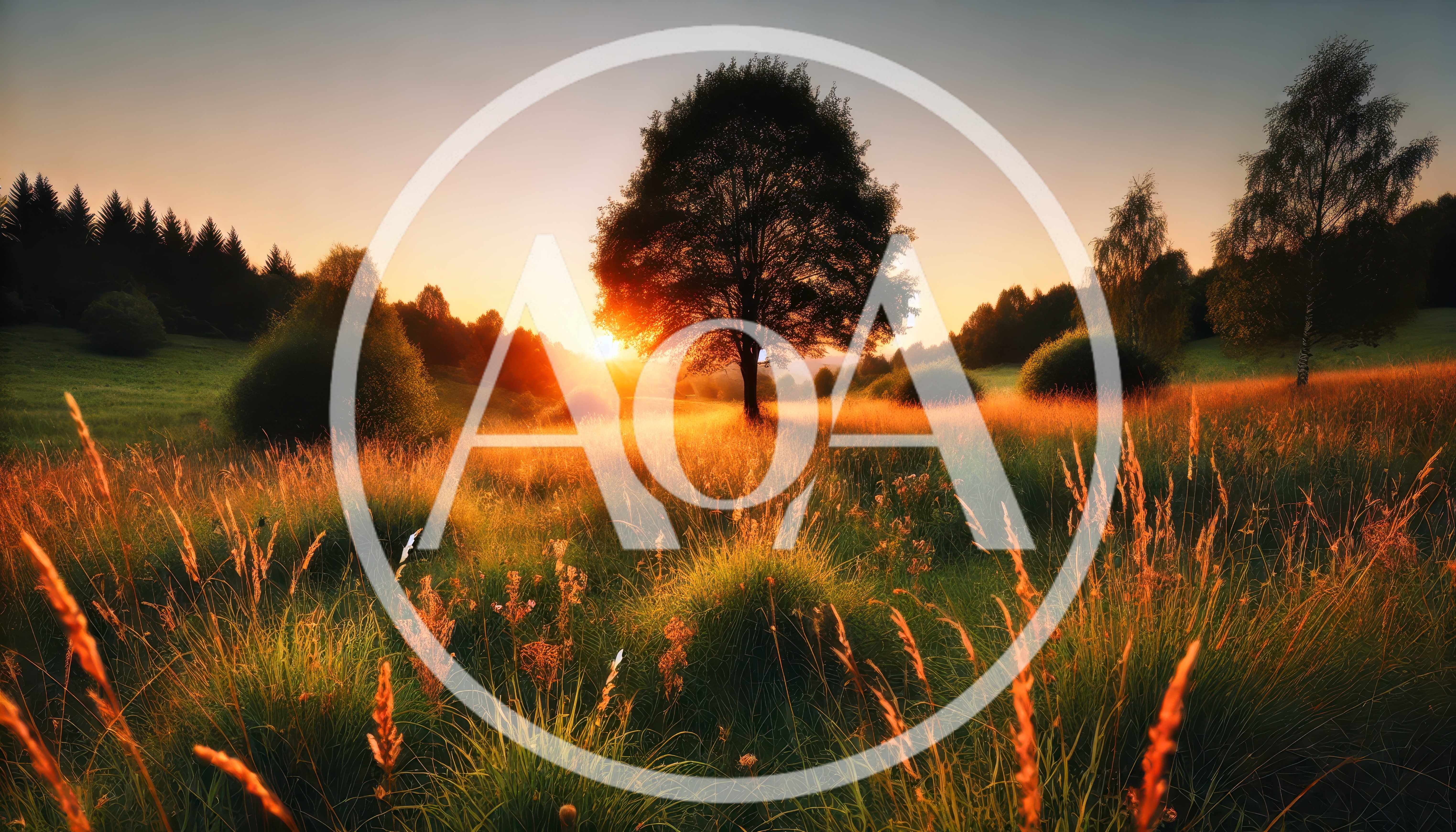 Golden Hour Sunset Over A Serene Meadow