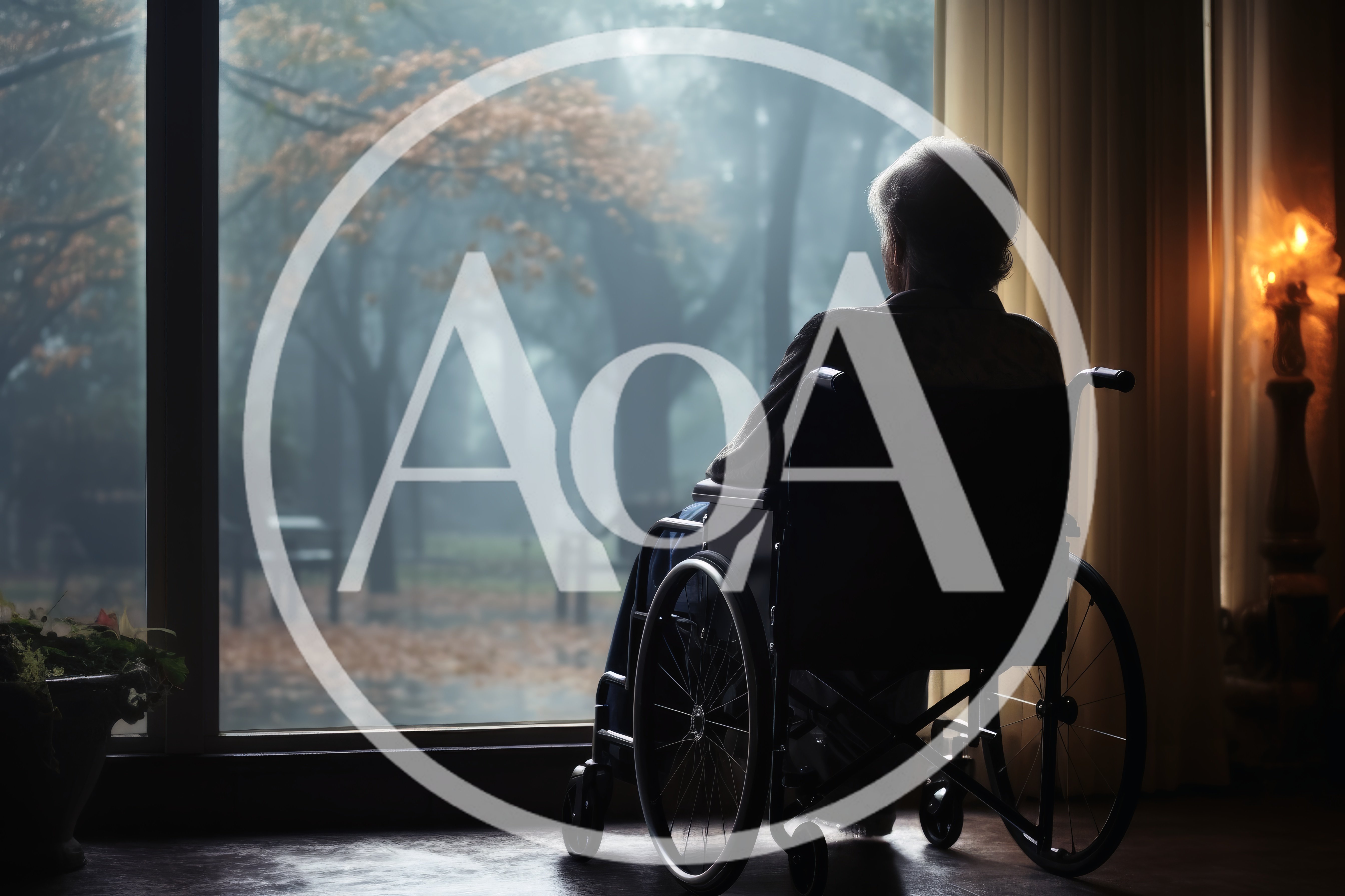 Elderly Person Sitting In Wheelchair Looking Out Window