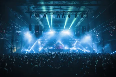Crowd Dancing at an Electronic Music Concert