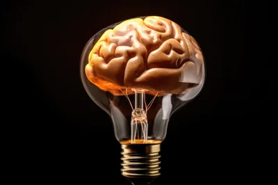 Human Brain Inside A Glowing Light Bulb