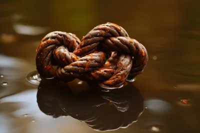 Knotted Brown Rope Floating On Calm Water Surface