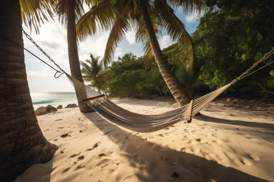 Empty Hammock Hanging Between Palm Trees On Tropical Beach