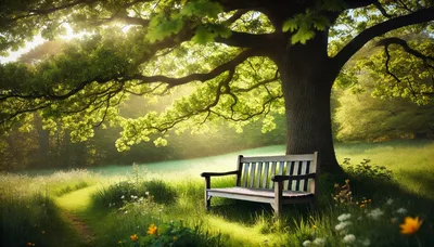 Wooden Bench Under A Large Oak Tree In Sunlight