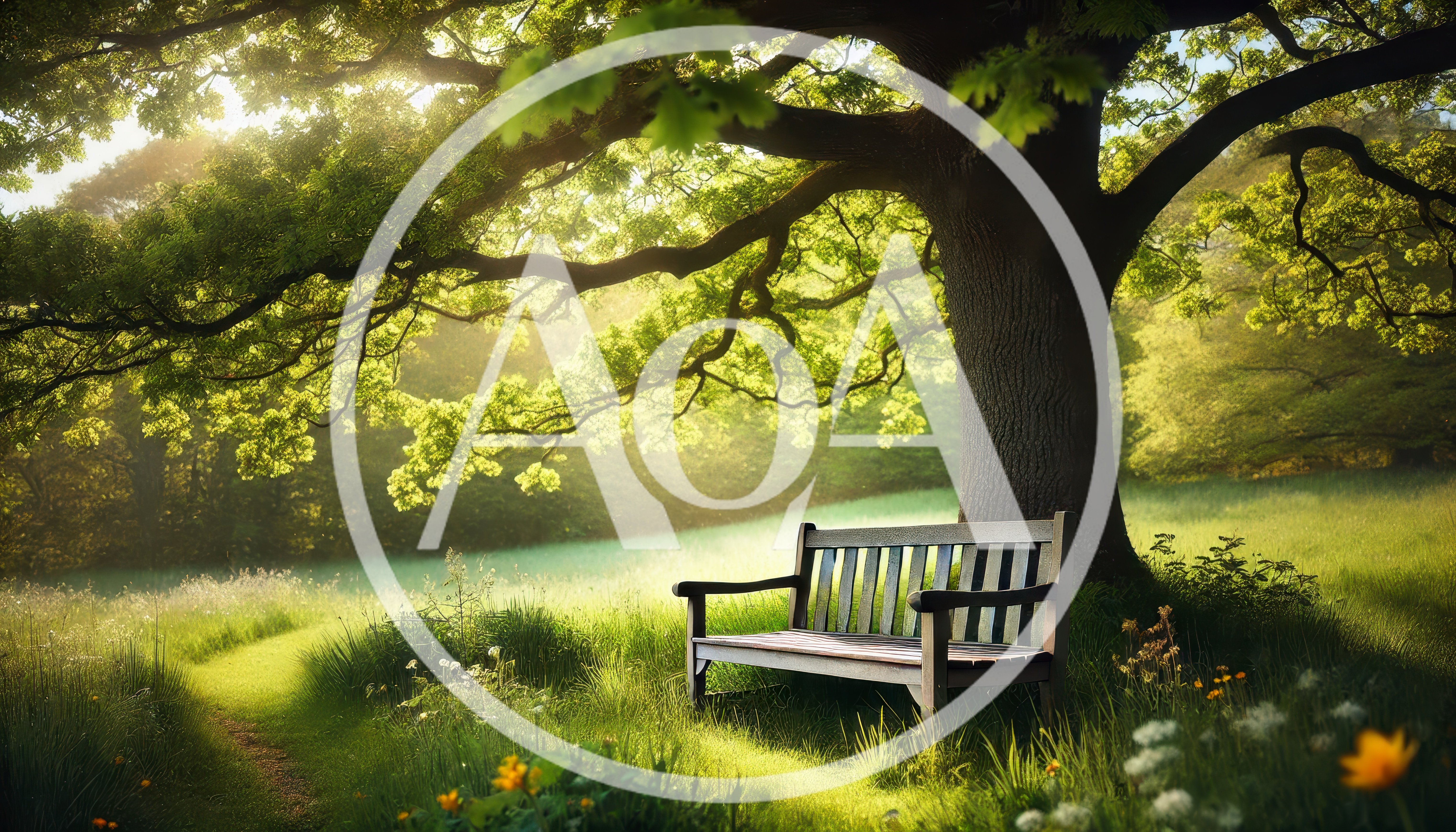 Wooden Bench Under A Large Oak Tree In Sunlight