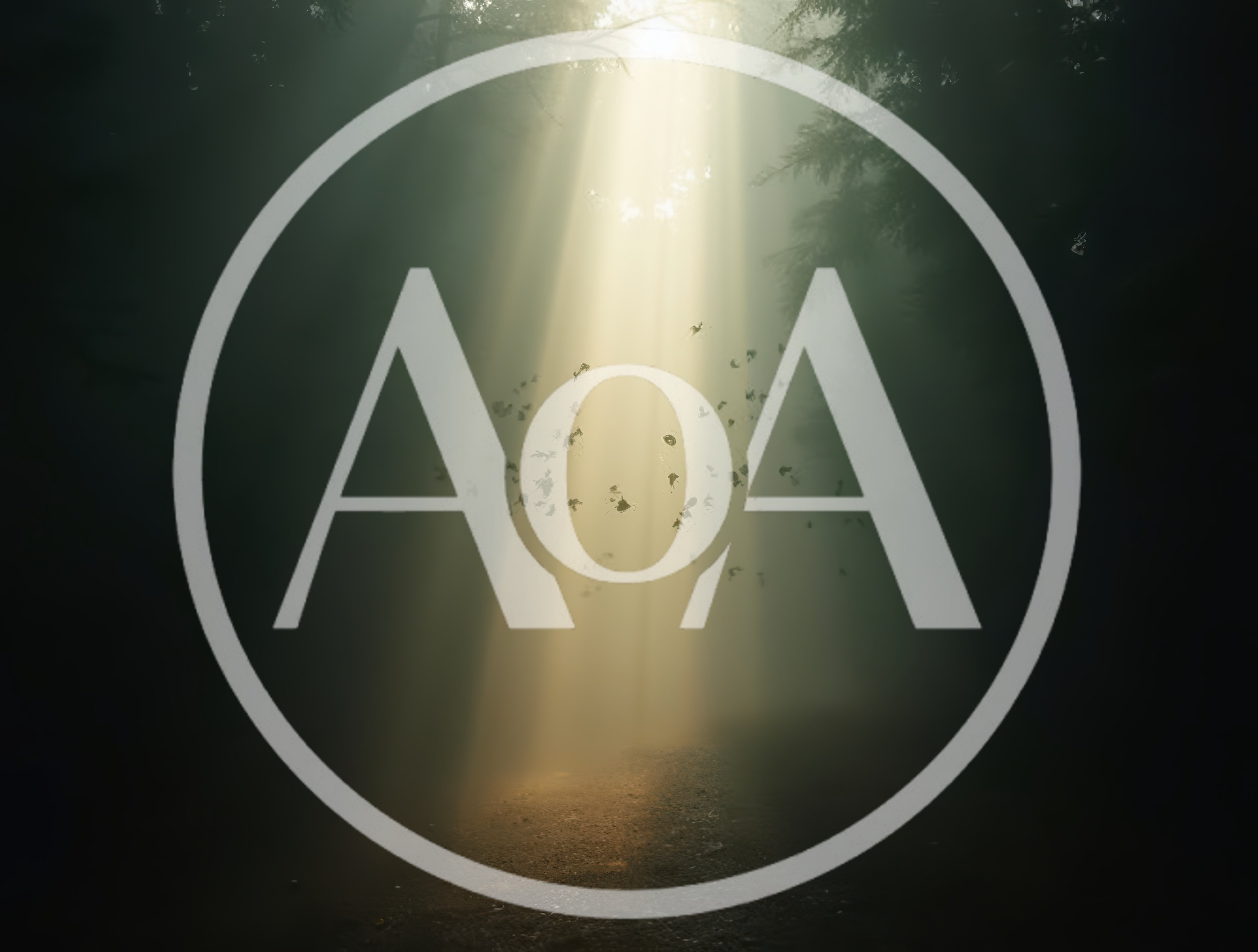 Sunlight Beams Through Foggy Forest With Floating Leaves