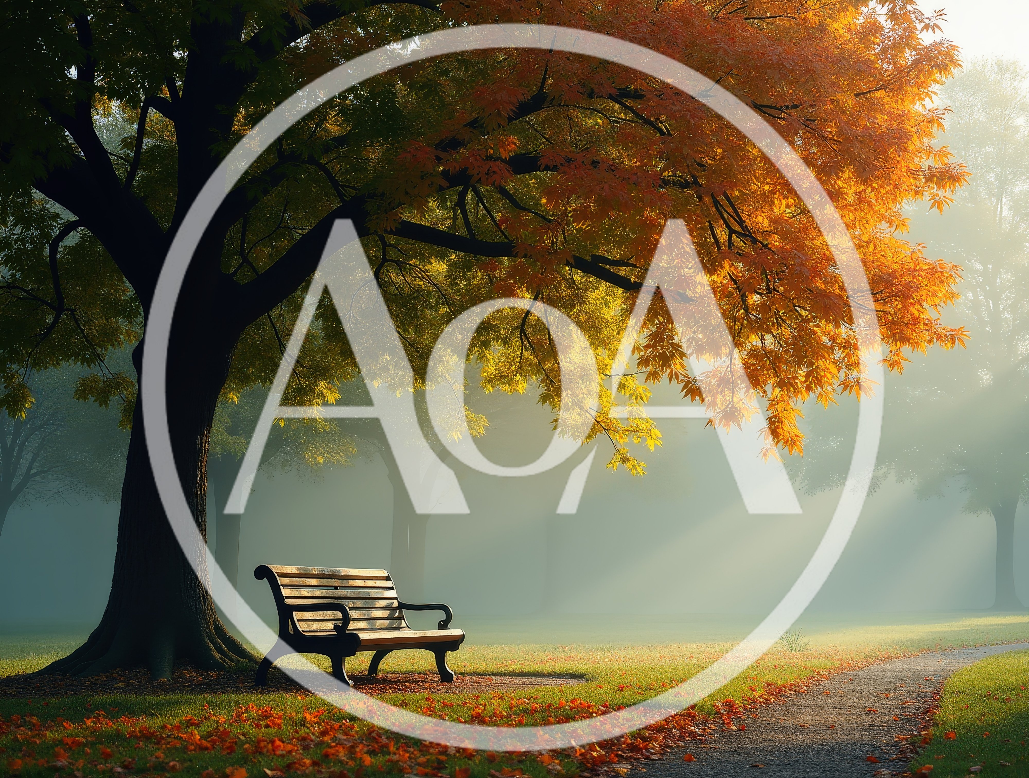Empty Wooden Park Bench Under Autumn Tree