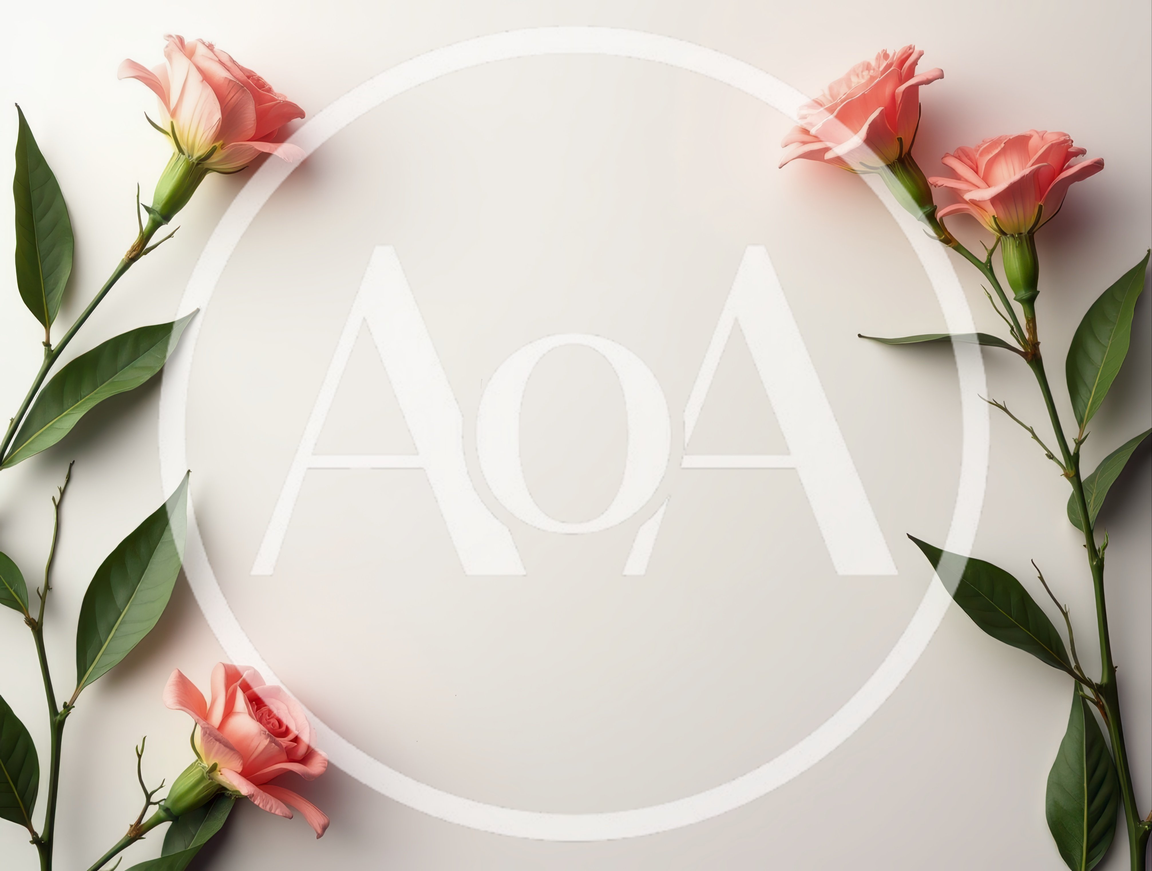 Pink Eustoma Flowers Arranged on White Background