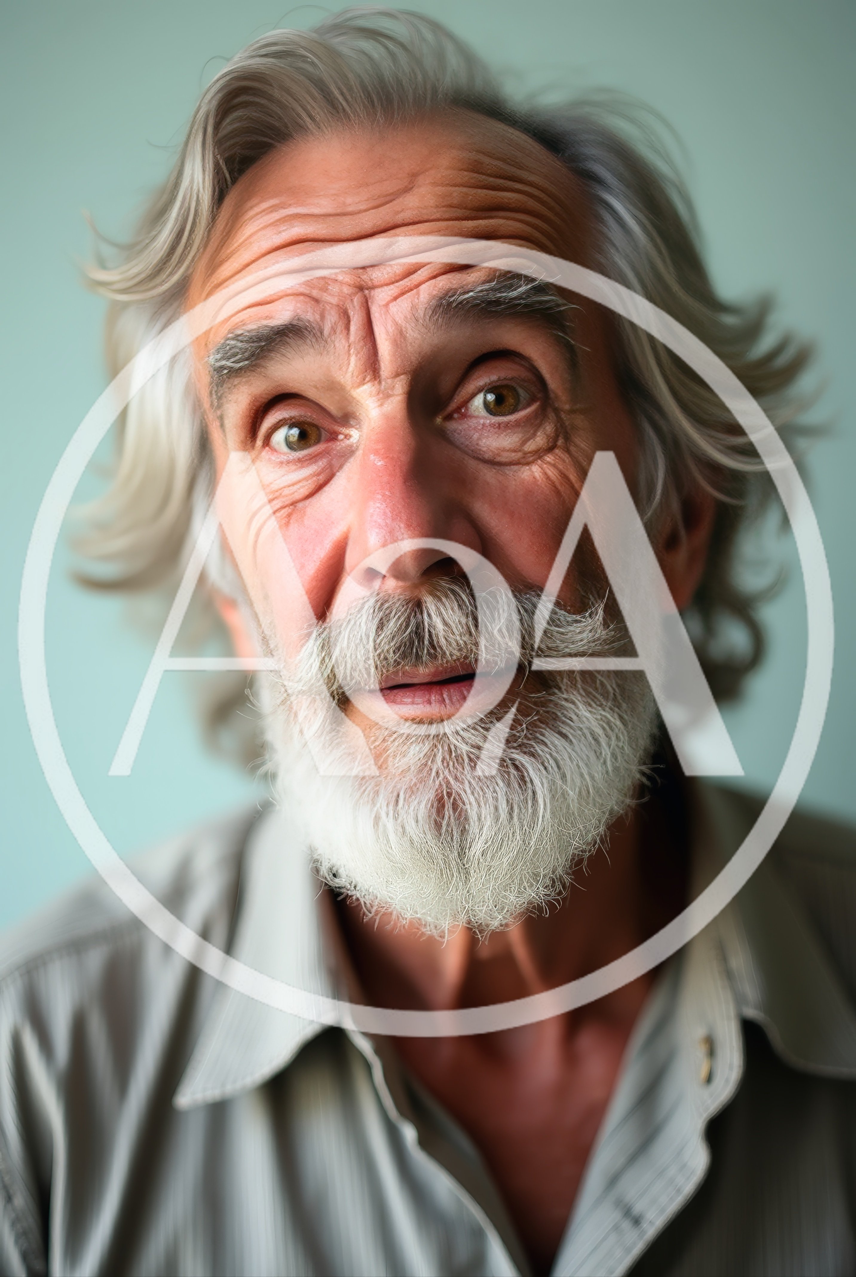 Portrait Of An Elderly Man With A White Beard