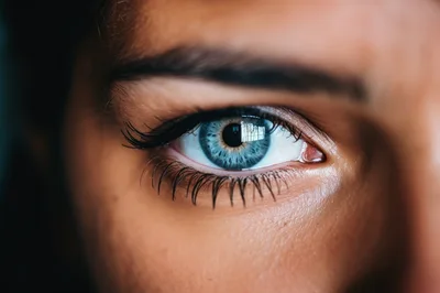 Extreme Close Up Of A Human Blue Eye