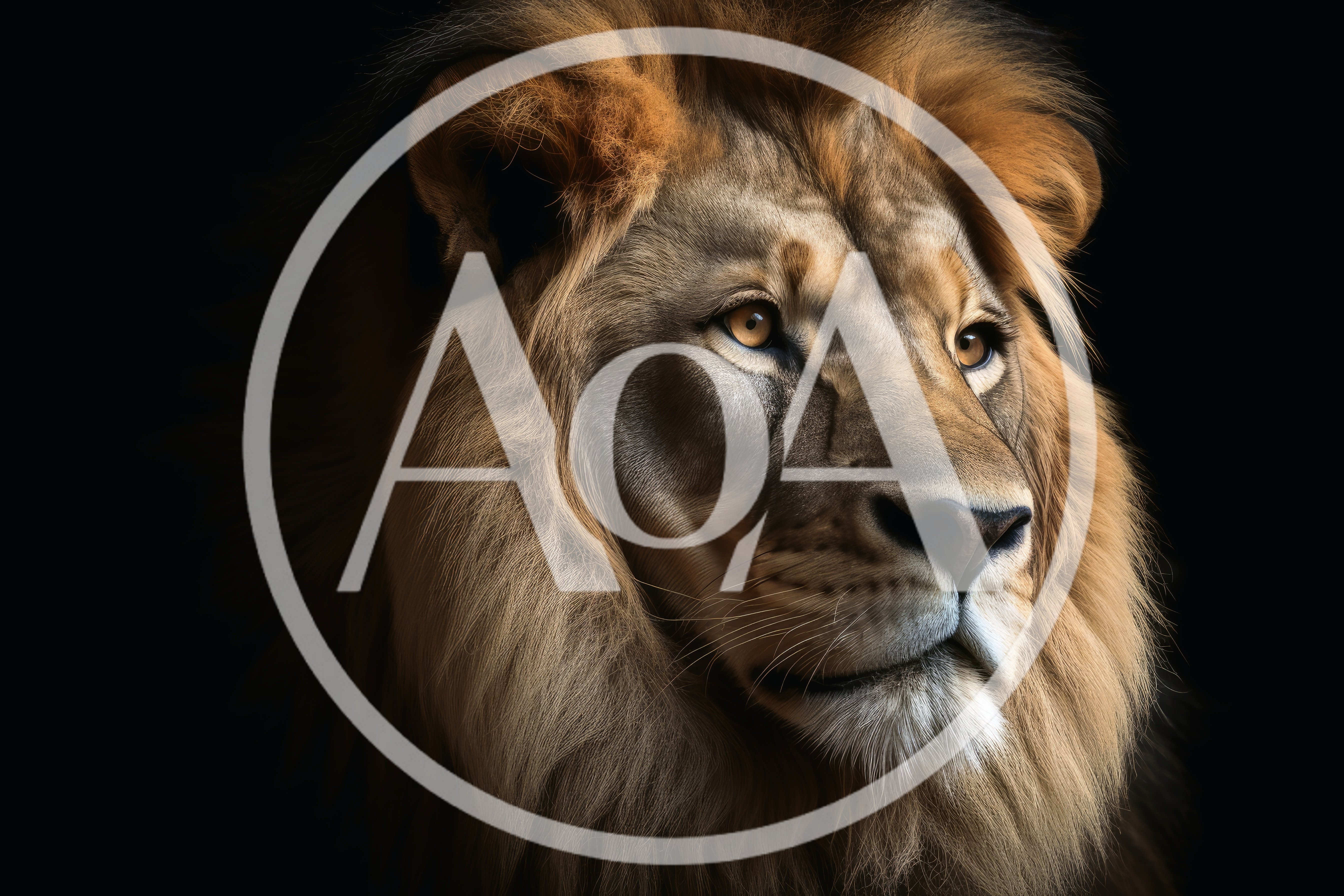 Majestic Lion Portrait Against A Solid Black Background