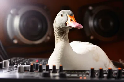 Goose DJ Performing On A Professional Audio Mixer