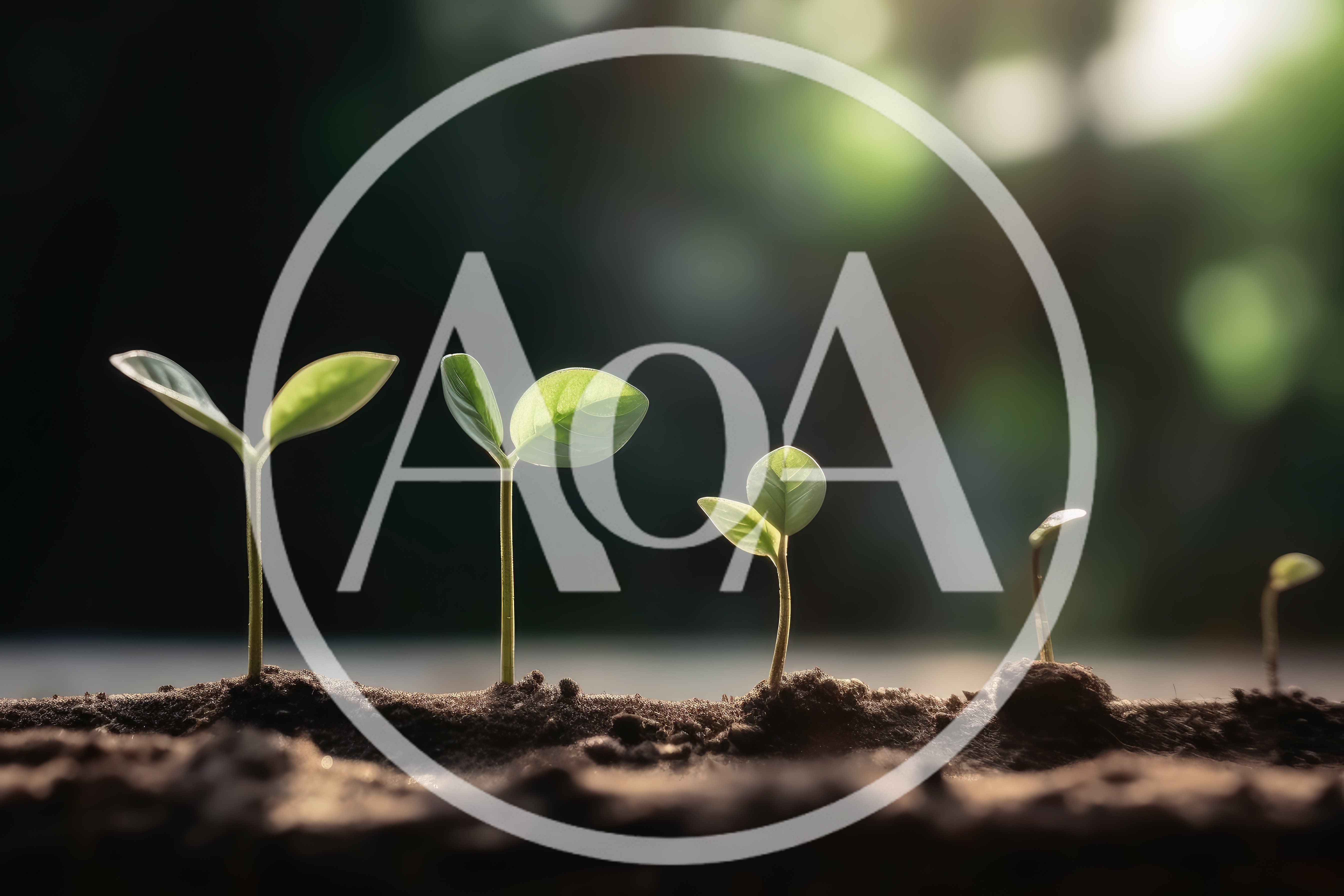 Five Seedlings Growing In A Row In Soil