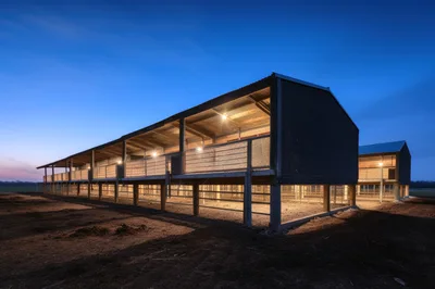 Modern Elevated Livestock Barn At Twilight