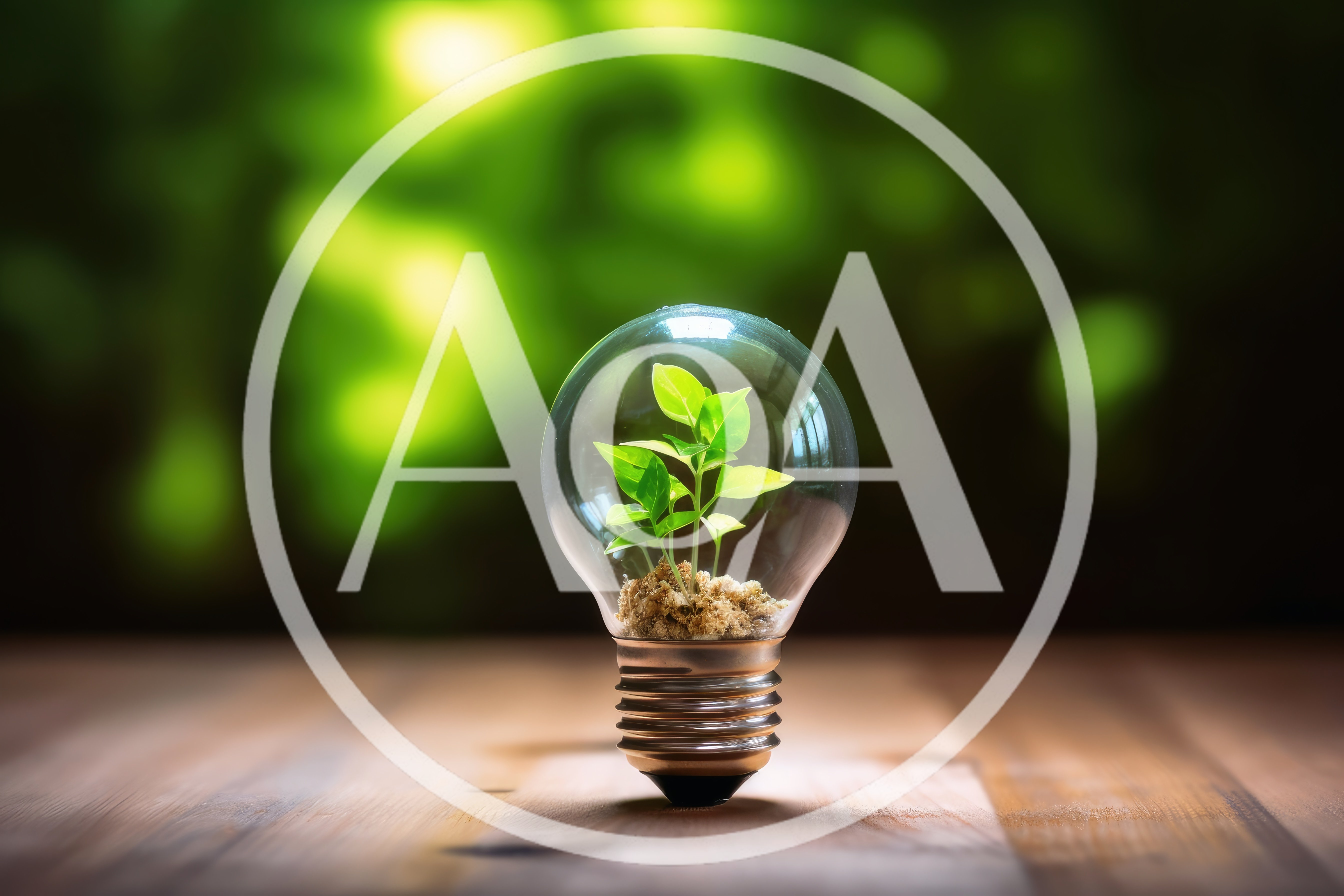 Small Green Plant Growing Inside A Glass Light Bulb