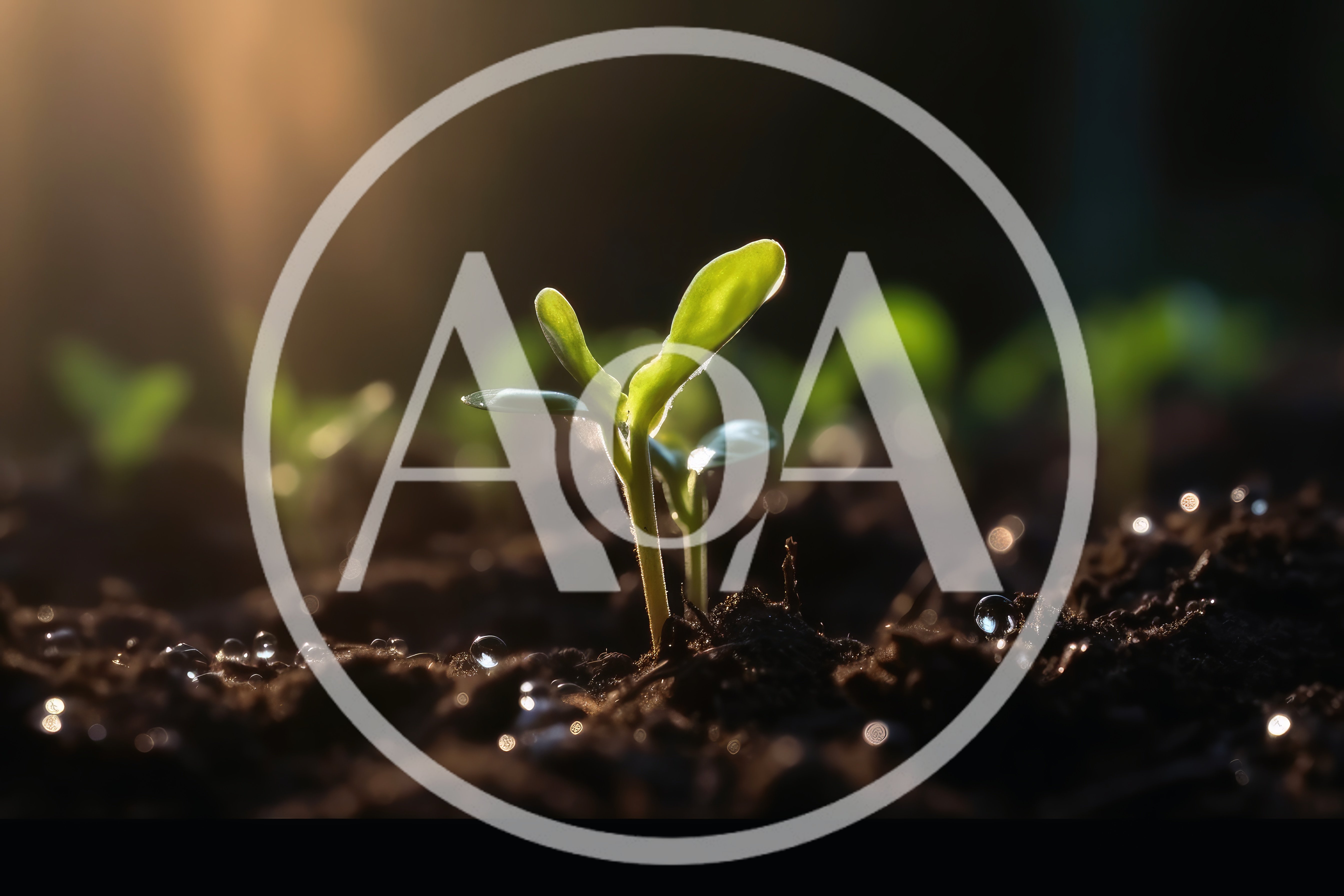Small Green Seedling Growing In Fertile Soil