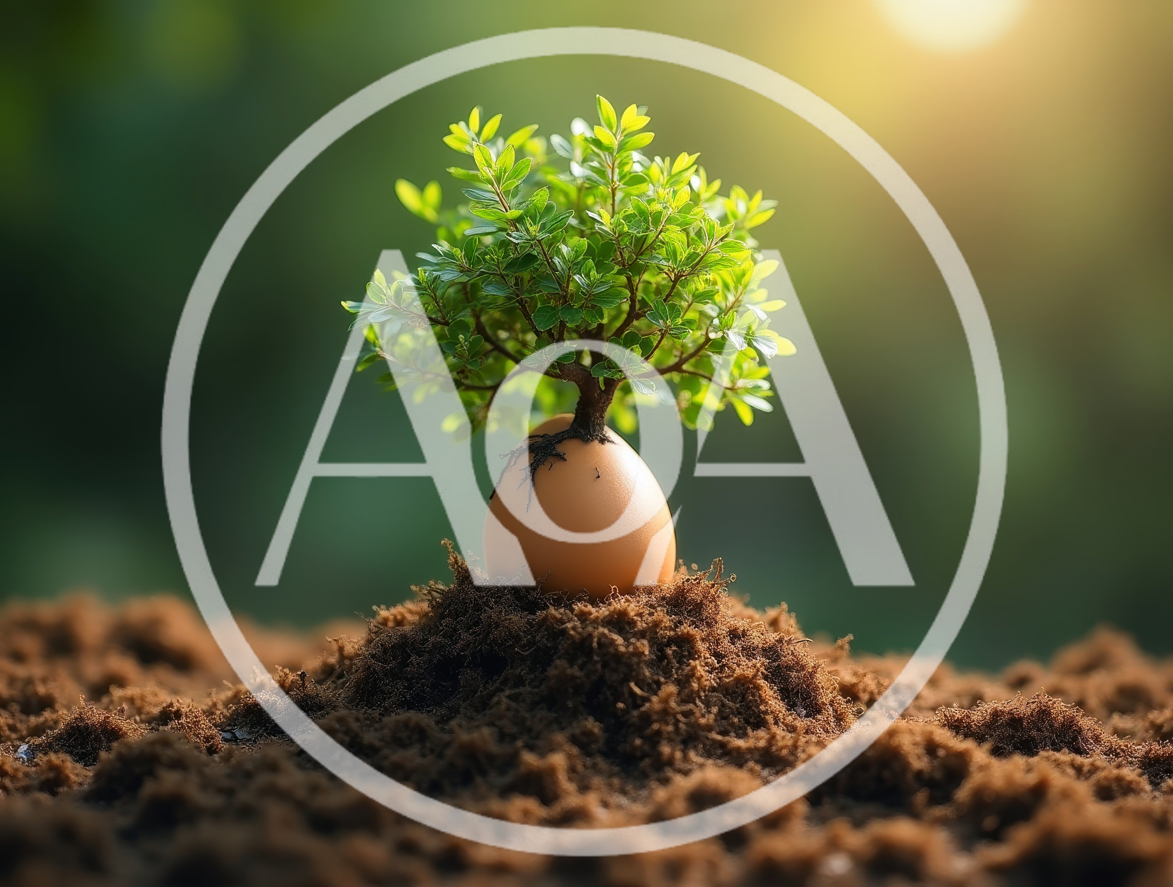 Small Tree Growing Out Of An Egg In Soil