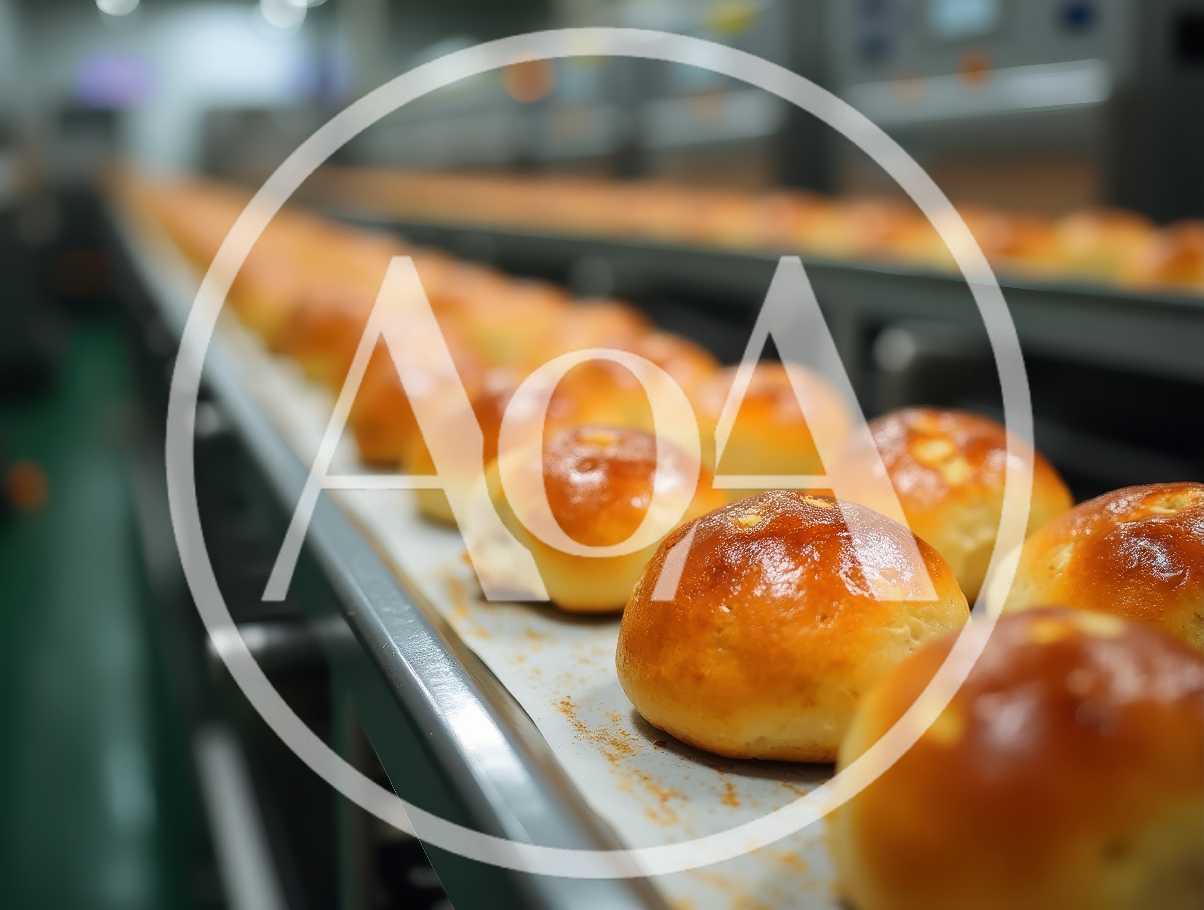 Freshly Baked Bread Rolls on Industrial Conveyor Belt